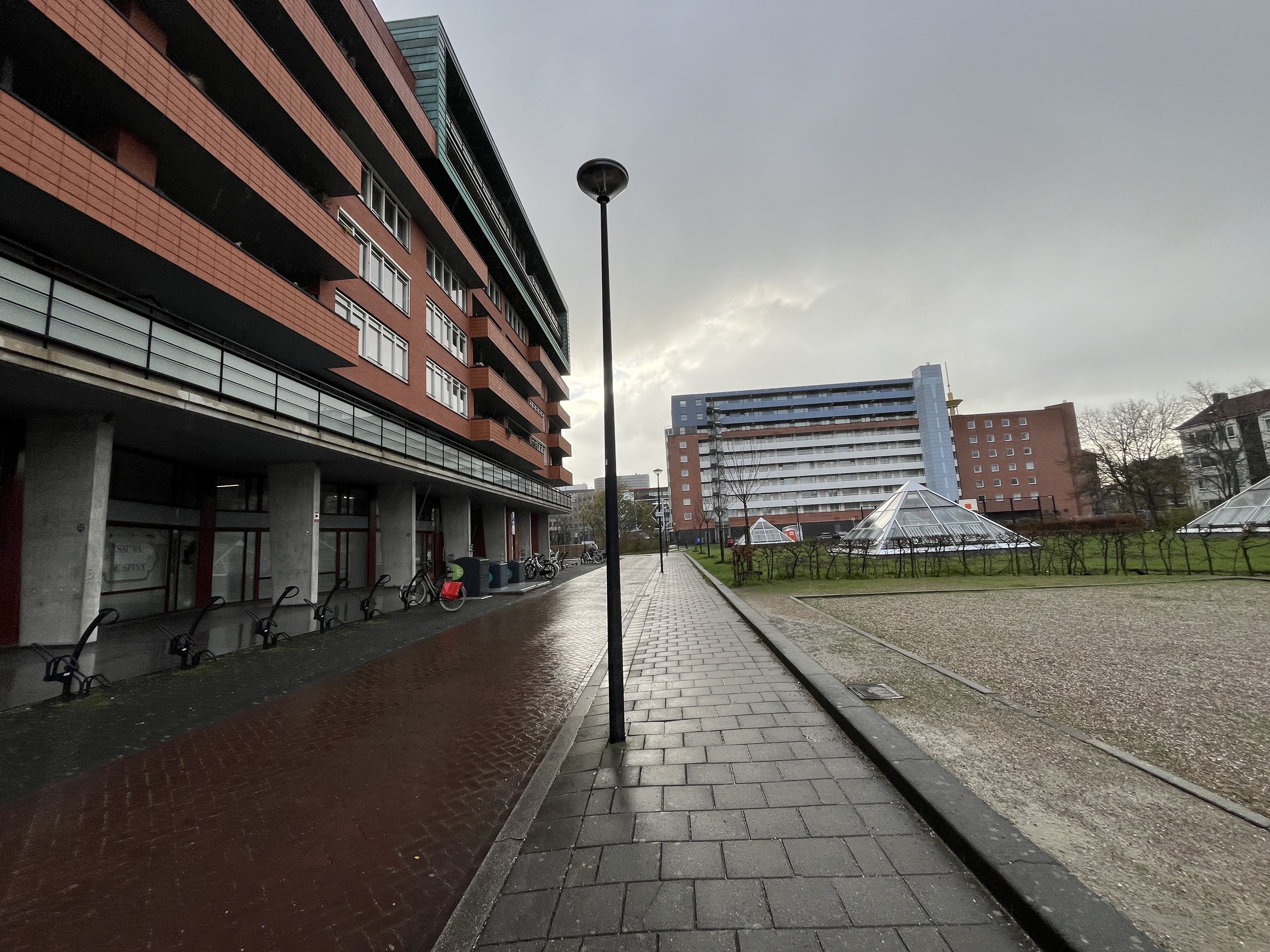 homes for rent on Papyruspad 175