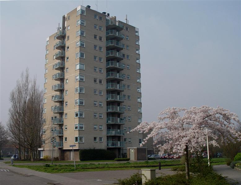 Zaagmolenstraat 16, 2265 XH Leidschendam, Nederland