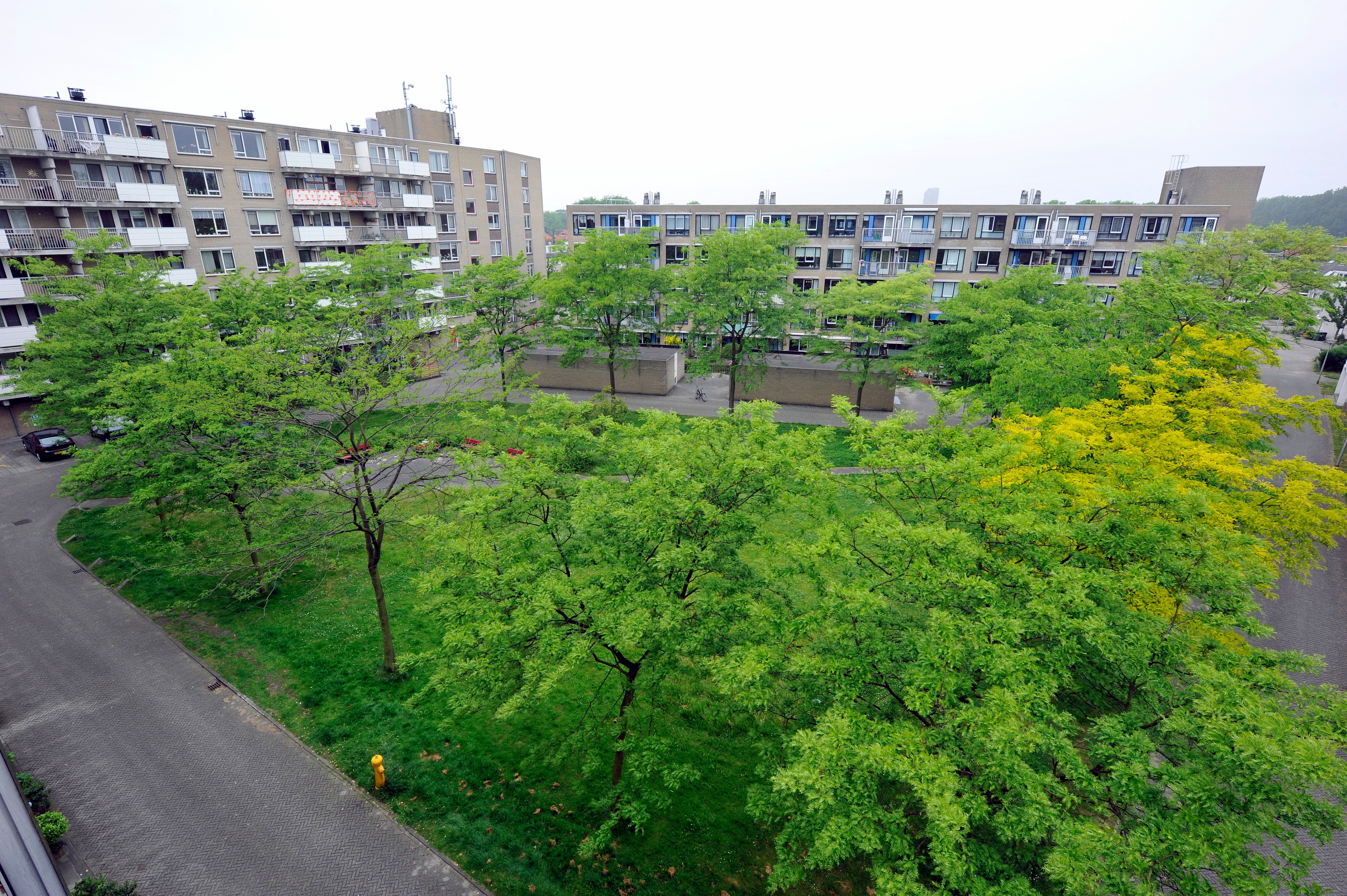 Aletta Jacobsstraat 262