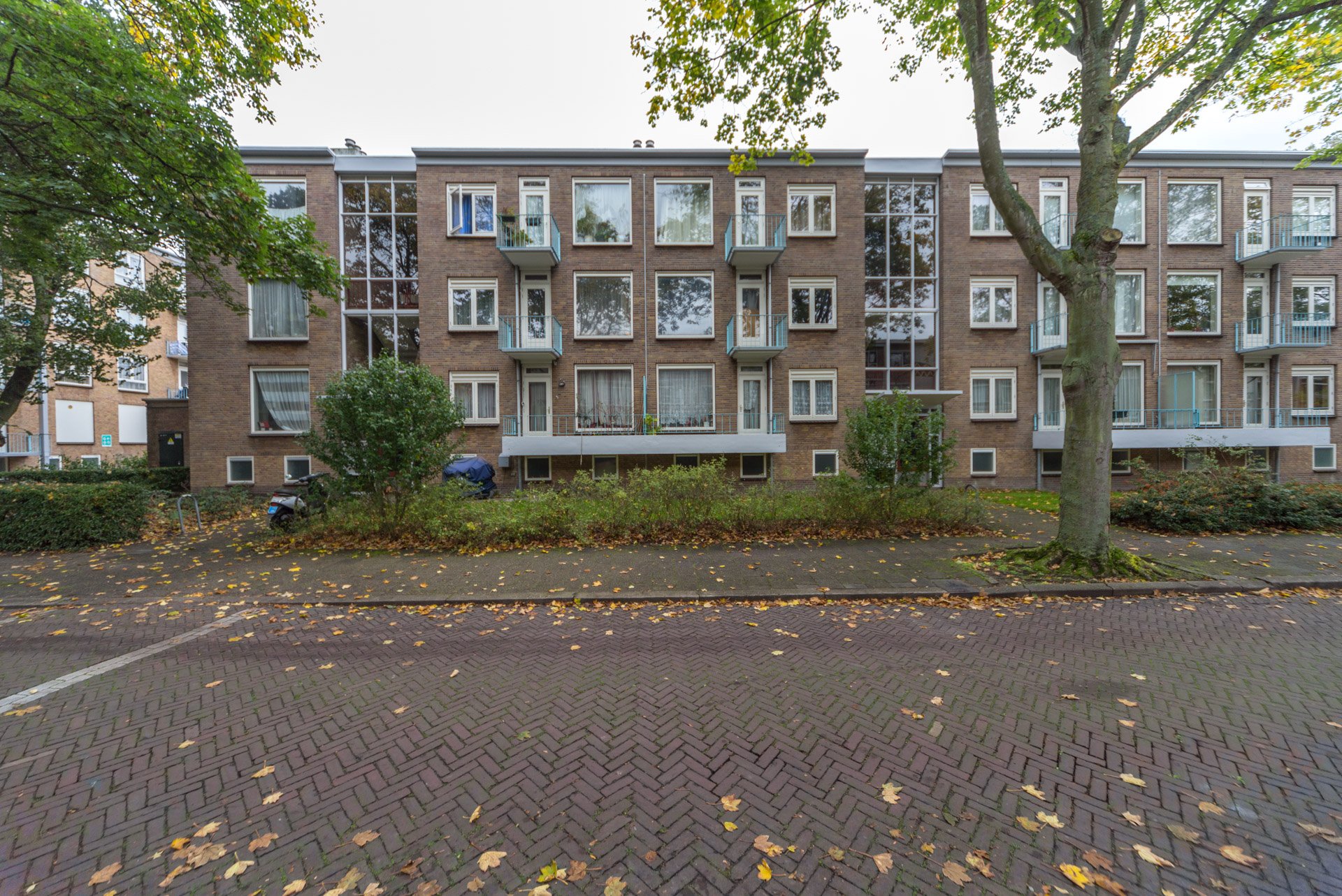 Dwingelostraat 28