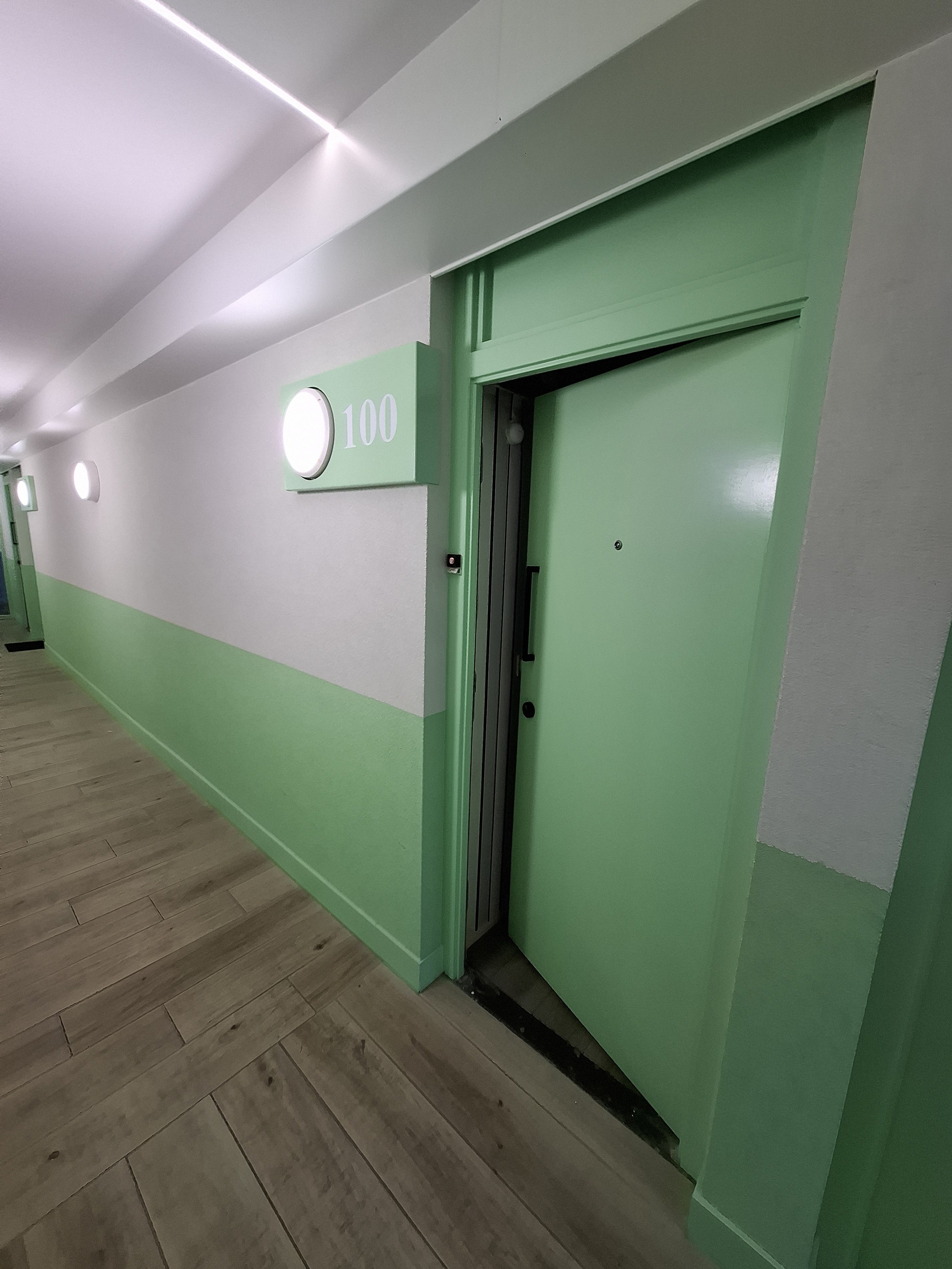 Meerkoetlaan 100, 2623 NK Delft, Nederland