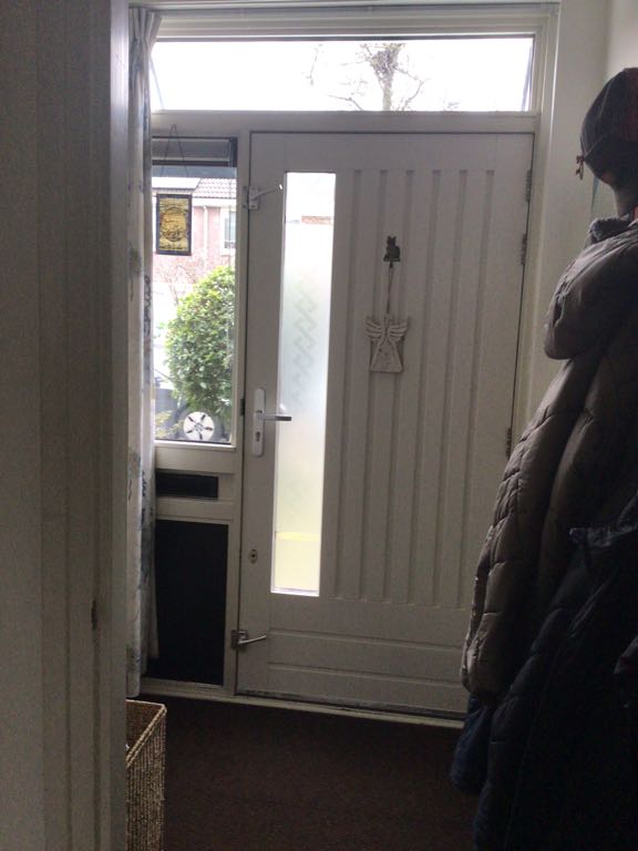 Petronella Voûtestraat 401