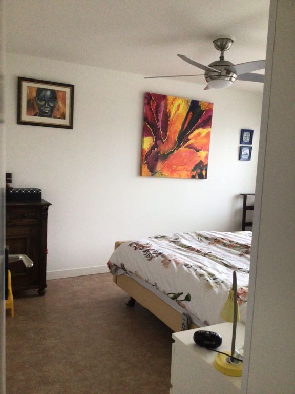 Petronella Voûtestraat 401