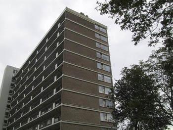 Sara Burgerhartweg 201, 2533 JE Den Haag, Nederland