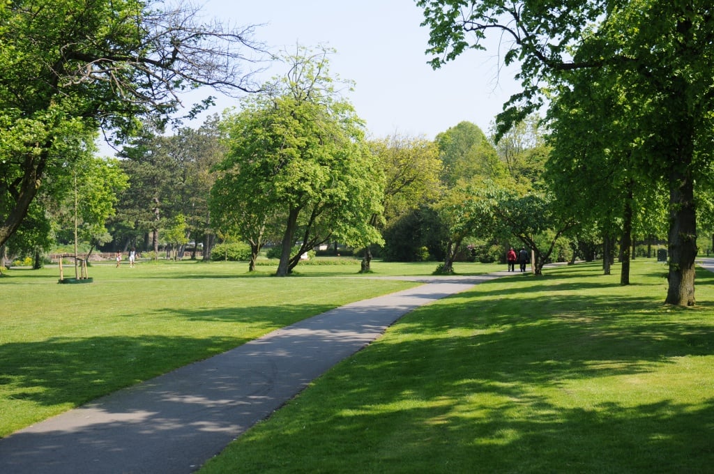 Willem Dreespark 225