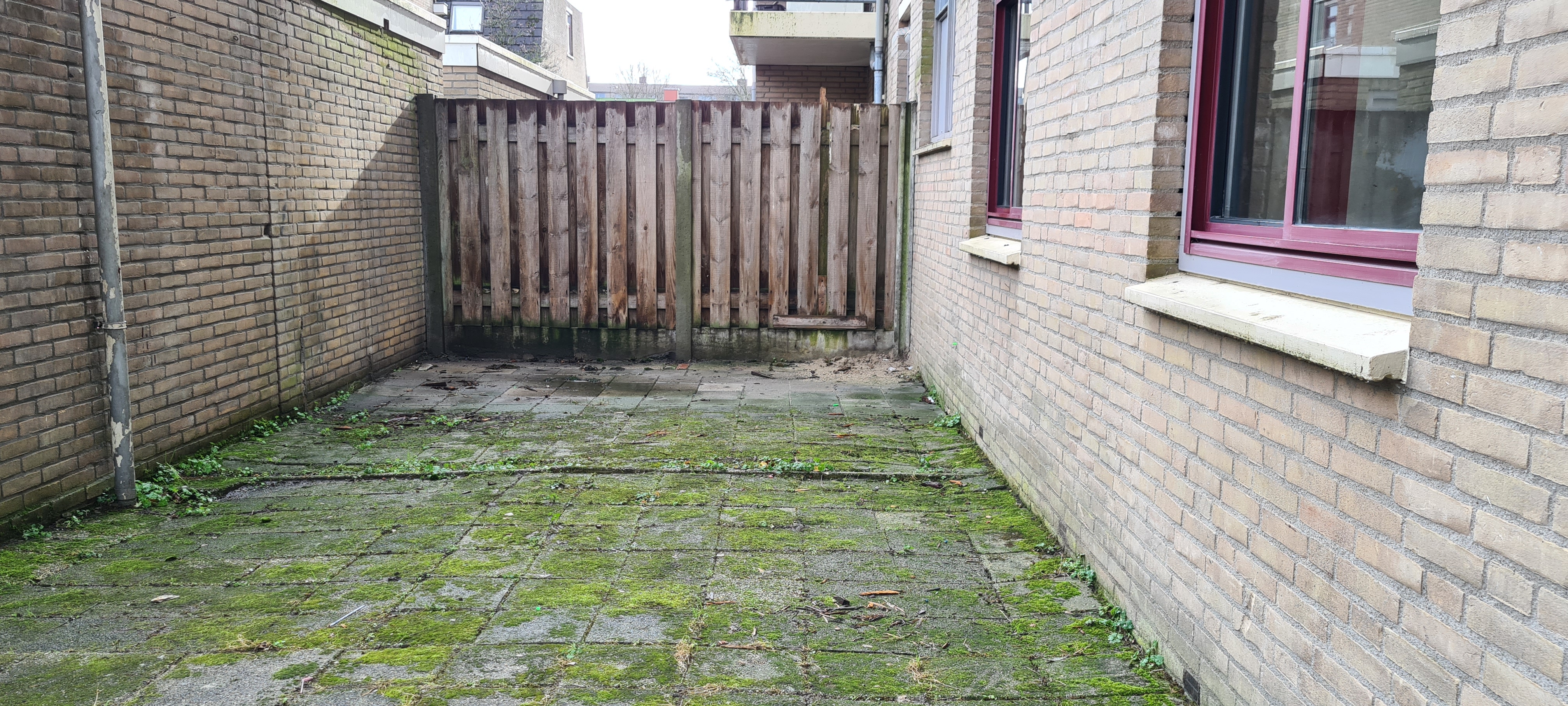 Van Mierisstraat 132