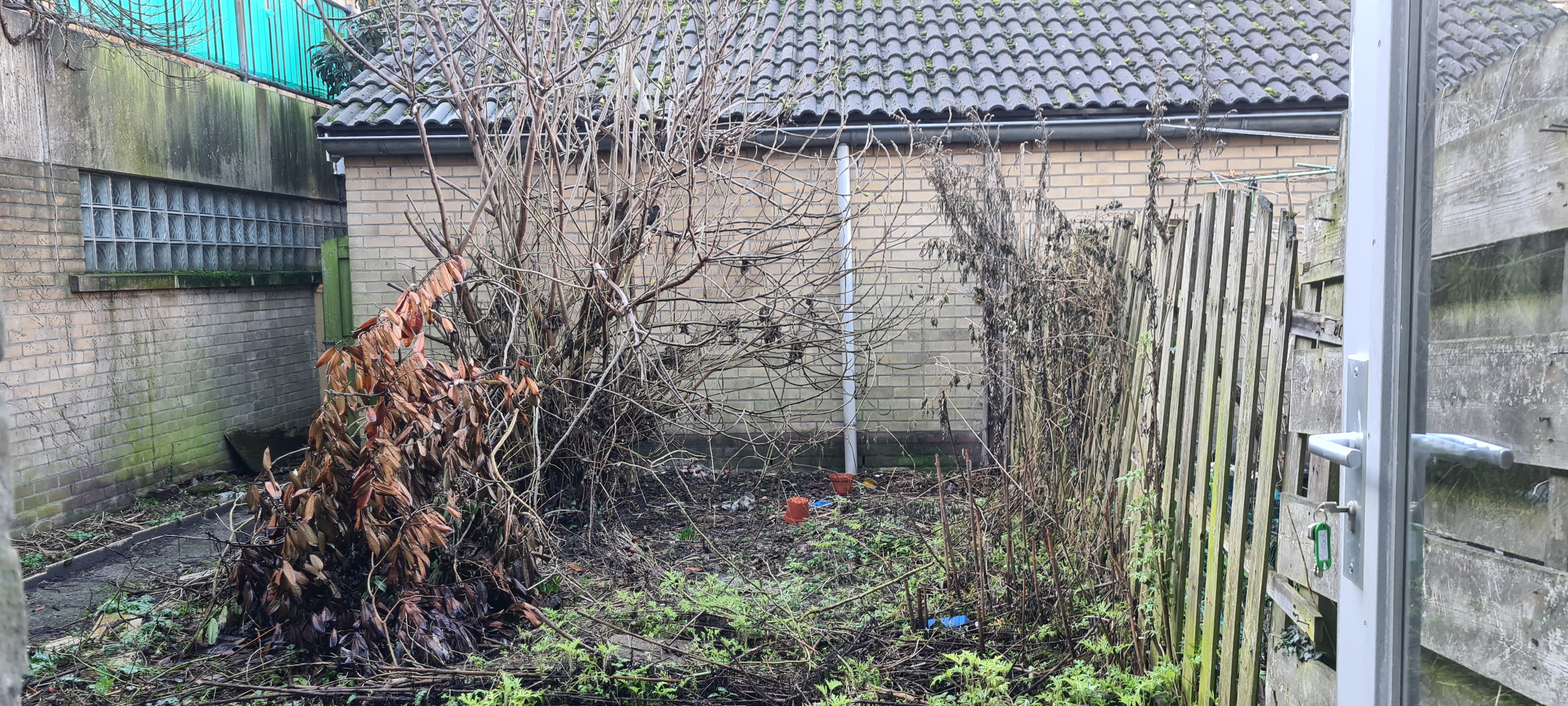 Paulus Potterstraat 313