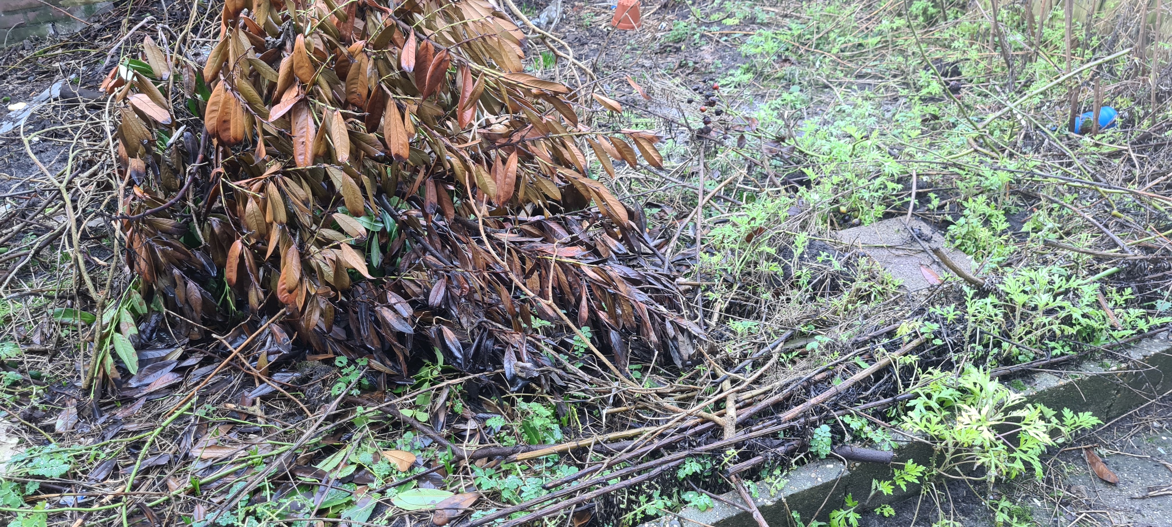 Paulus Potterstraat 313