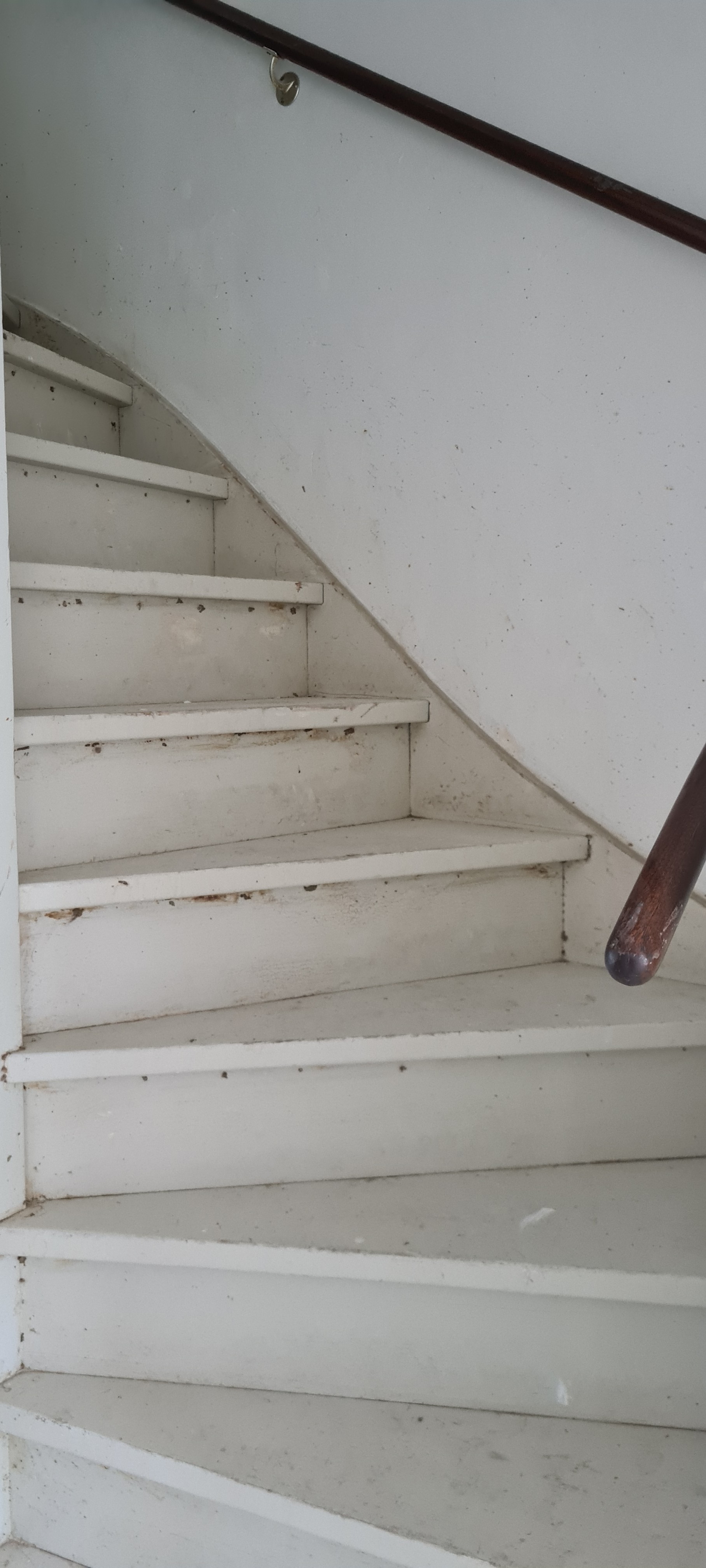 Paulus Potterstraat 313