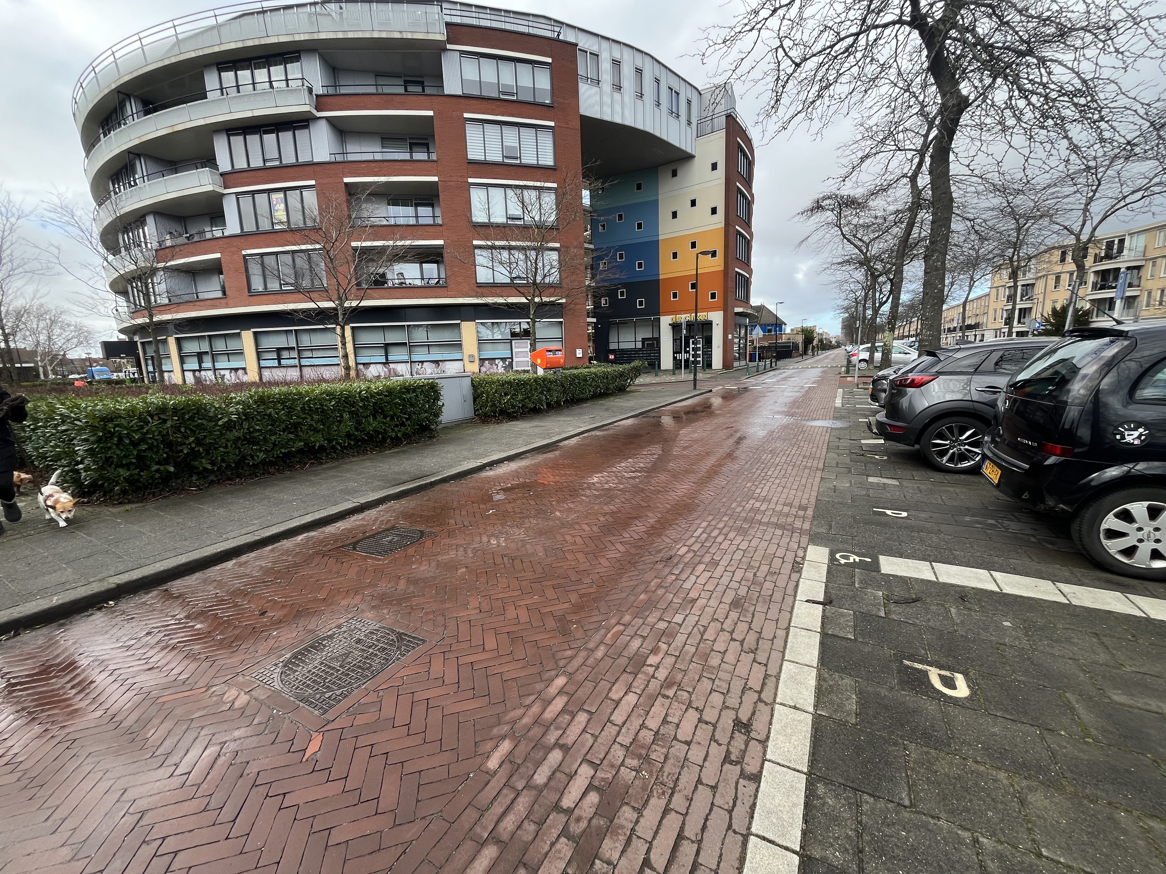 Strijplaan 223, 2285 GJ Rijswijk, Nederland