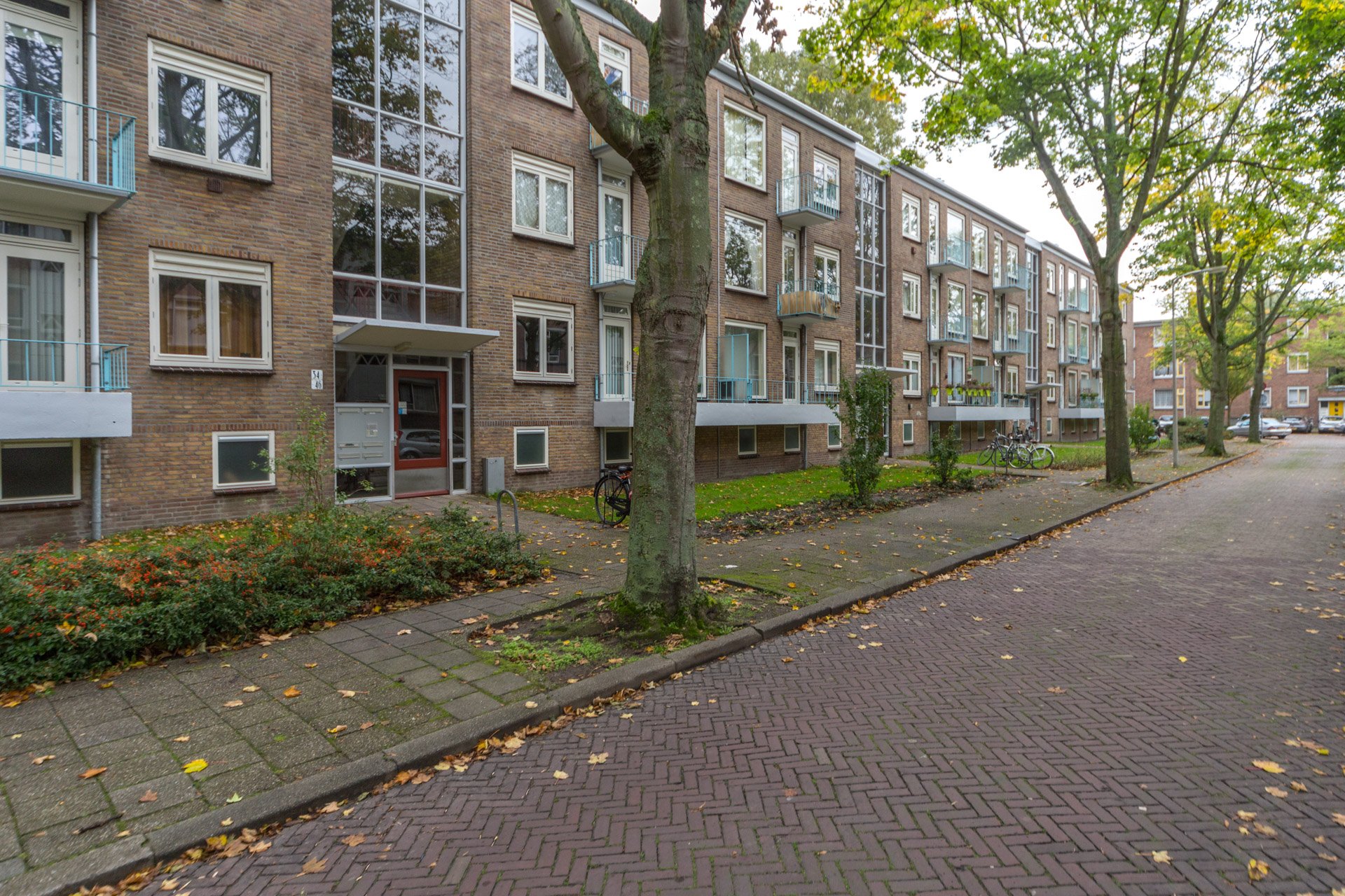 Dwingelostraat 66