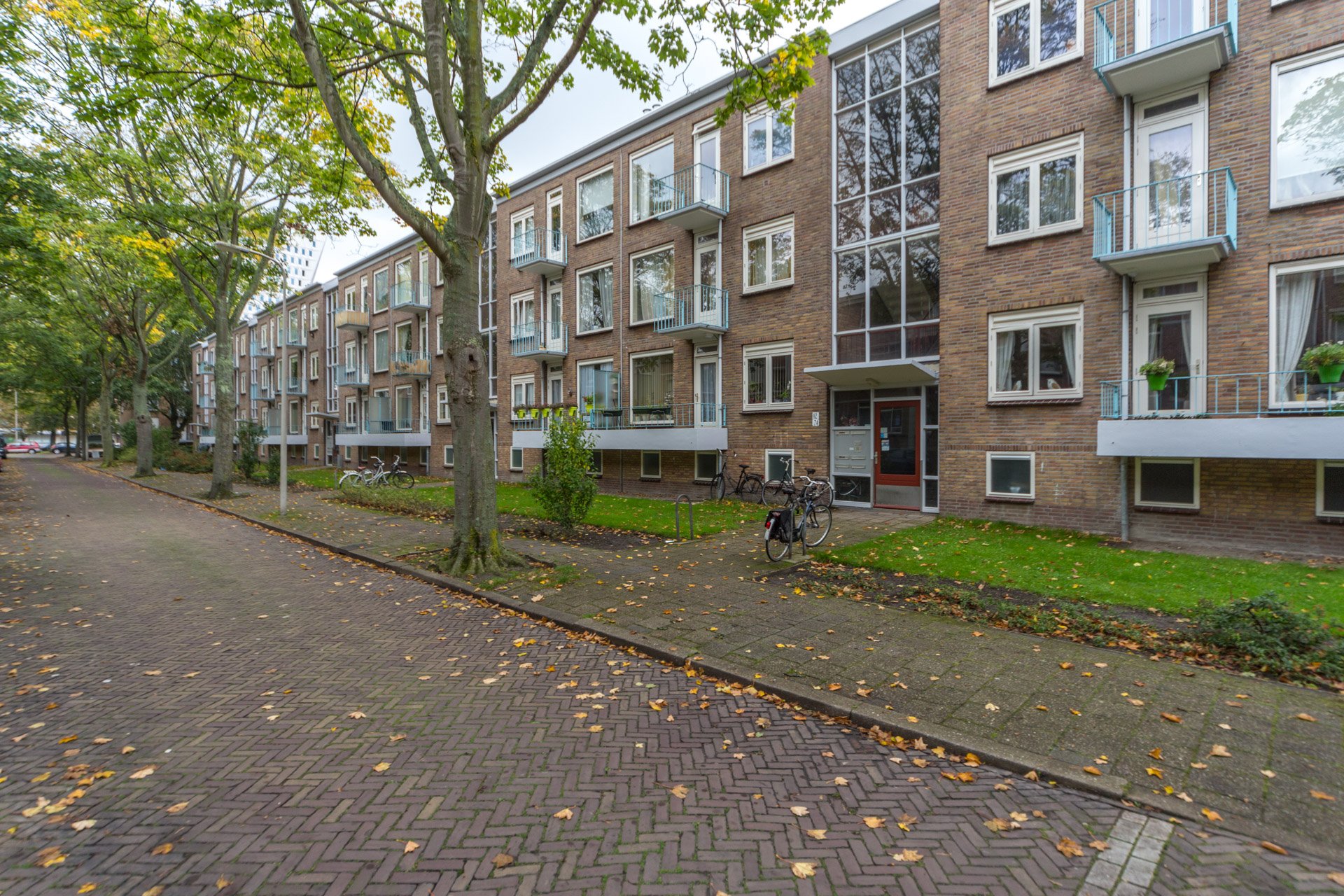 Dwingelostraat 66