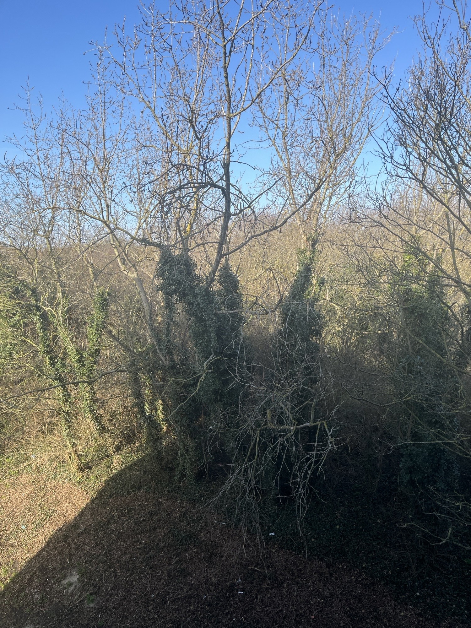 Bevelandsestraat 179