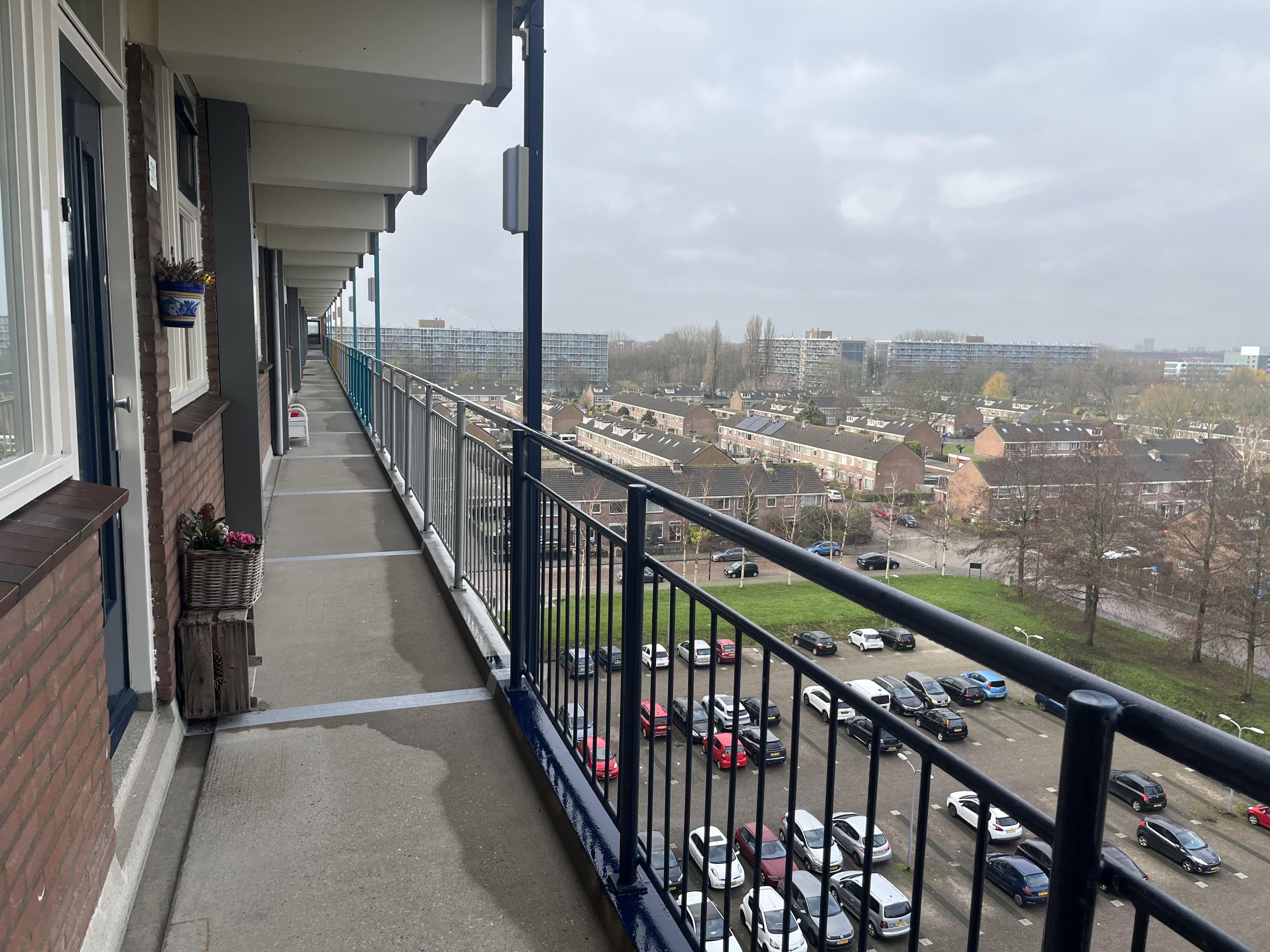 Petronella Voûtestraat 313