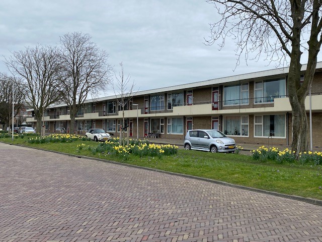 Dingemans van de Kasteeleplein 45, 2691 WE 's-Gravenzande, Nederland