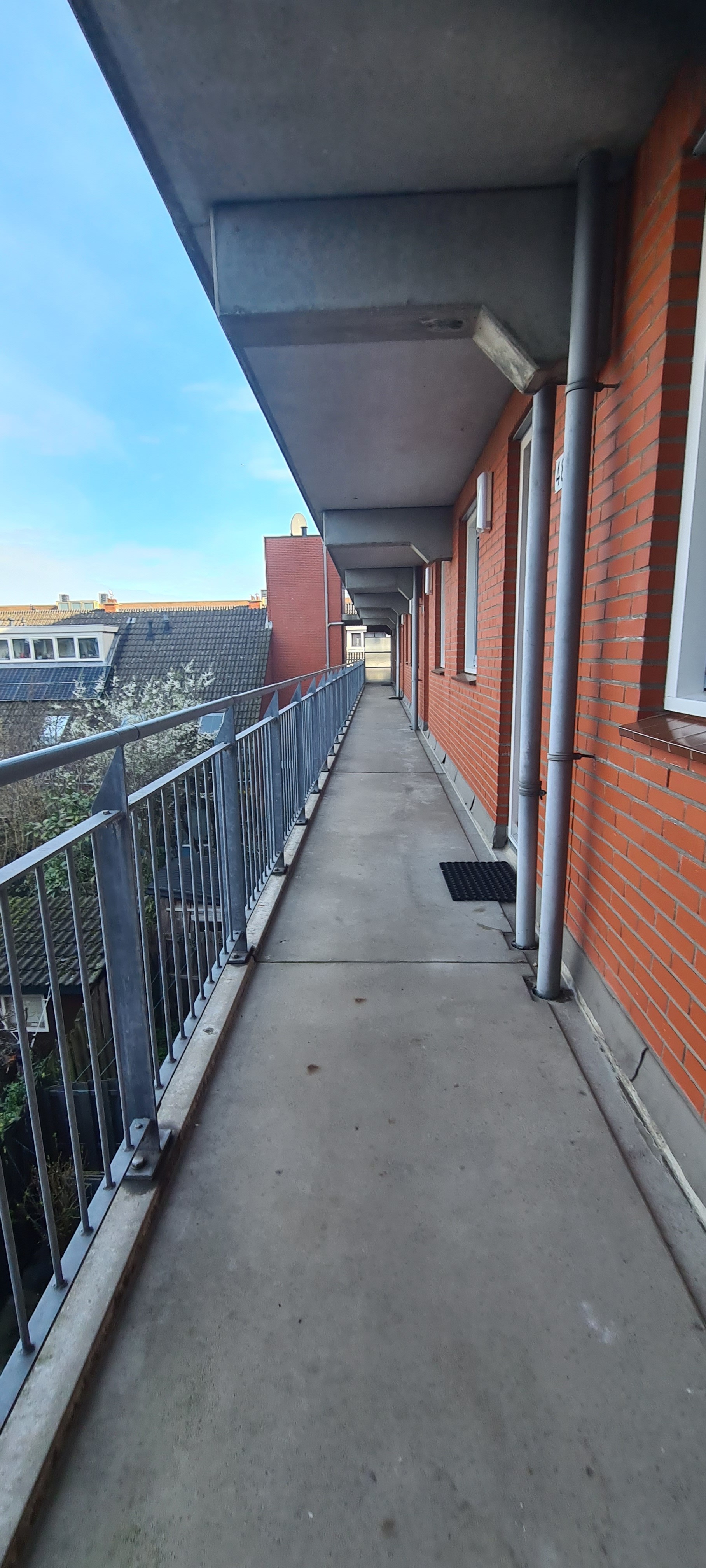 Ferdinand Bolstraat 50