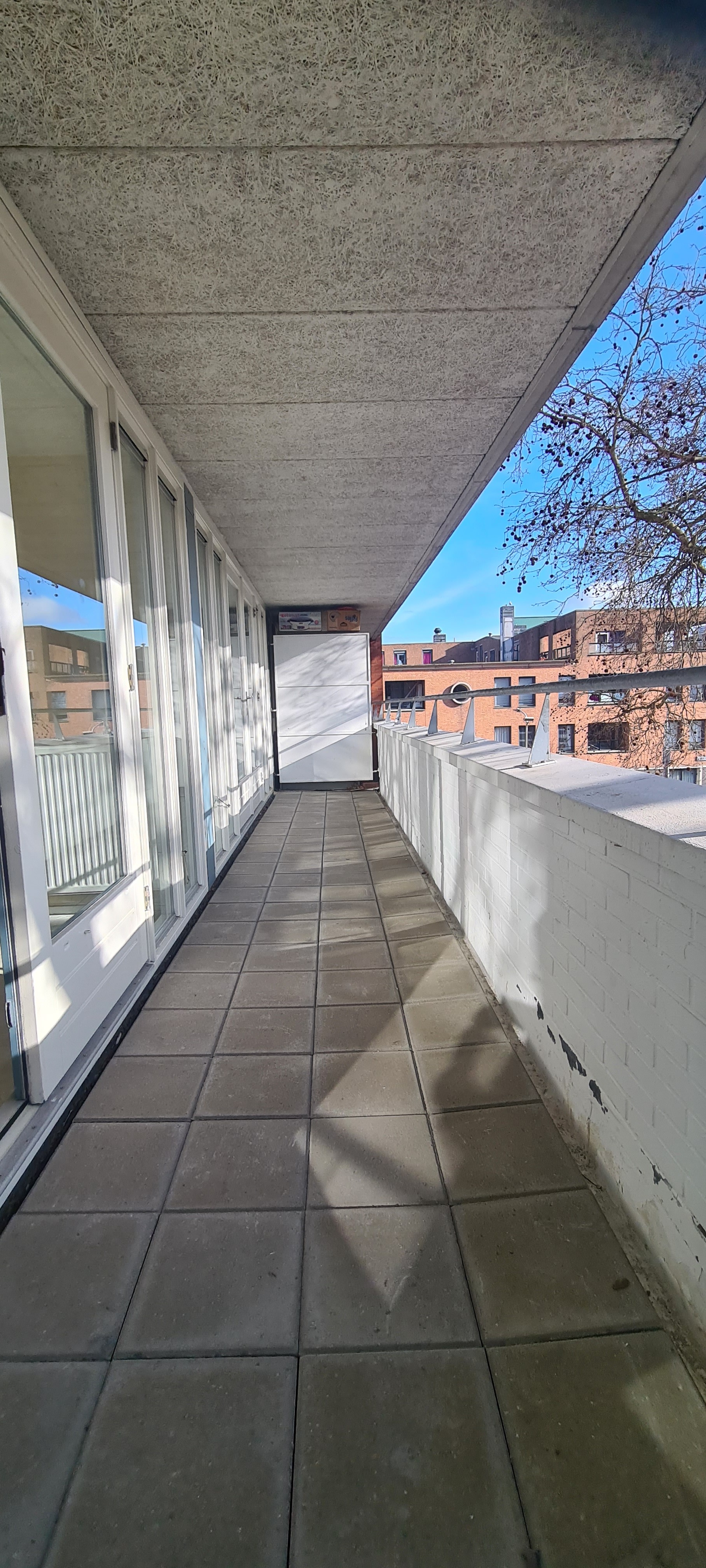 Ferdinand Bolstraat 50