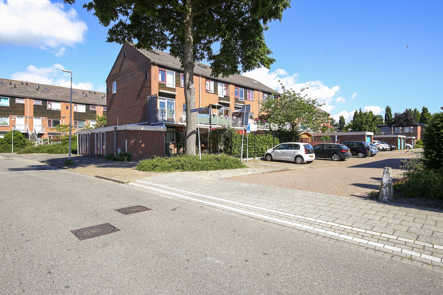 Louis Couperushove 12