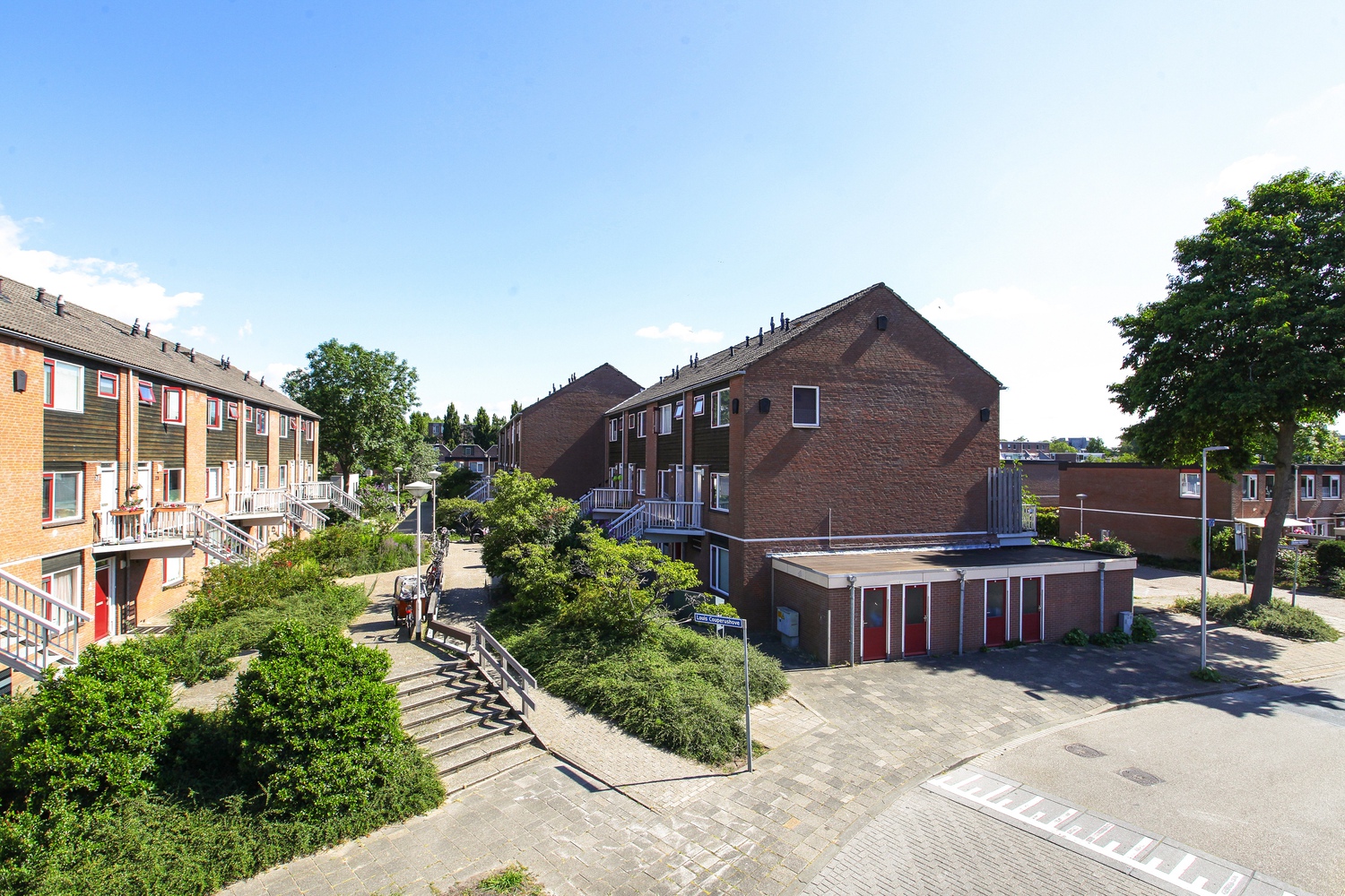 Louis Couperushove 12