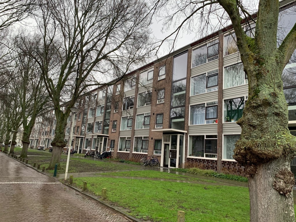 Nettelhorststraat 119