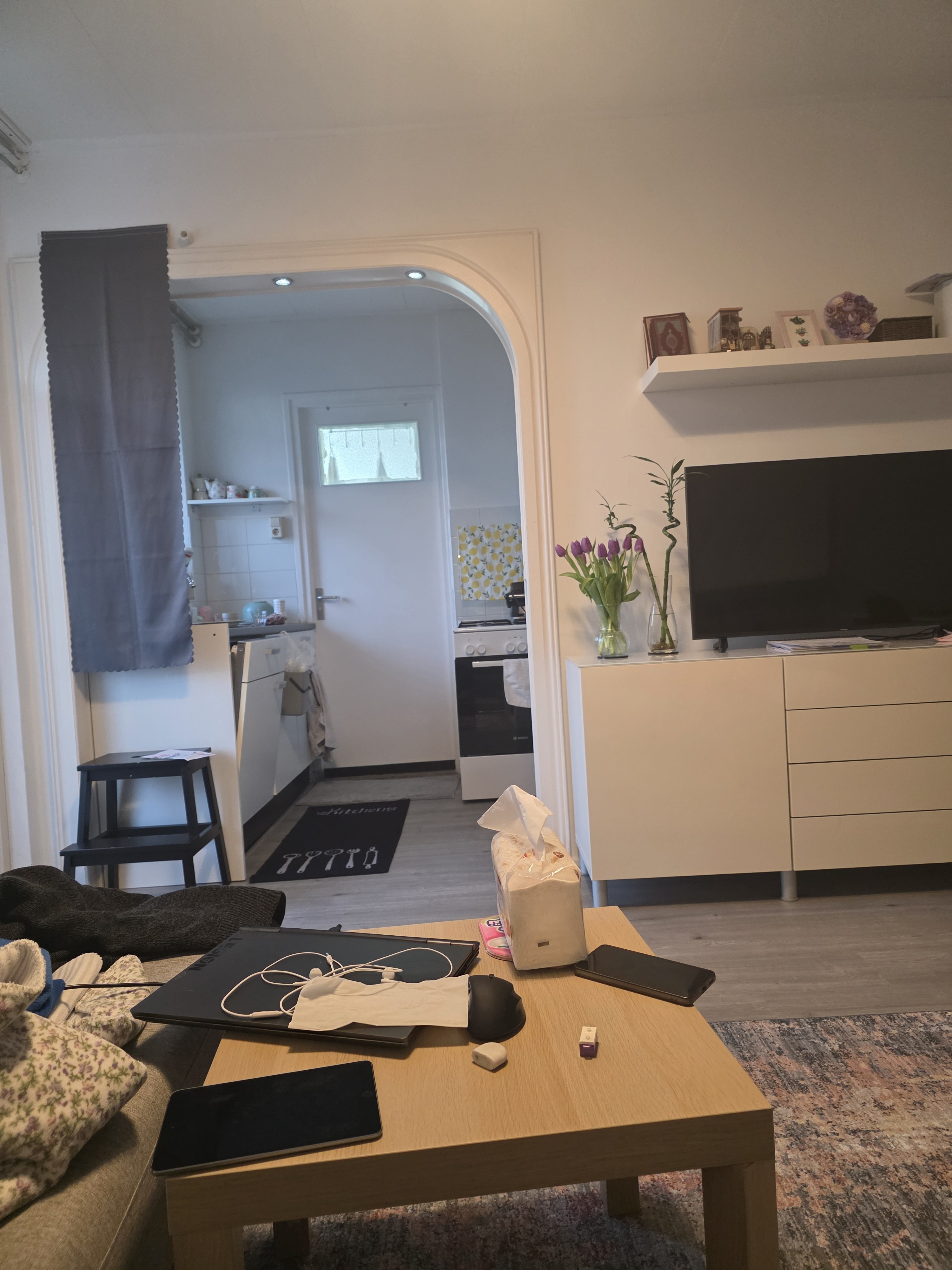 Van Zegwaardstraat 172