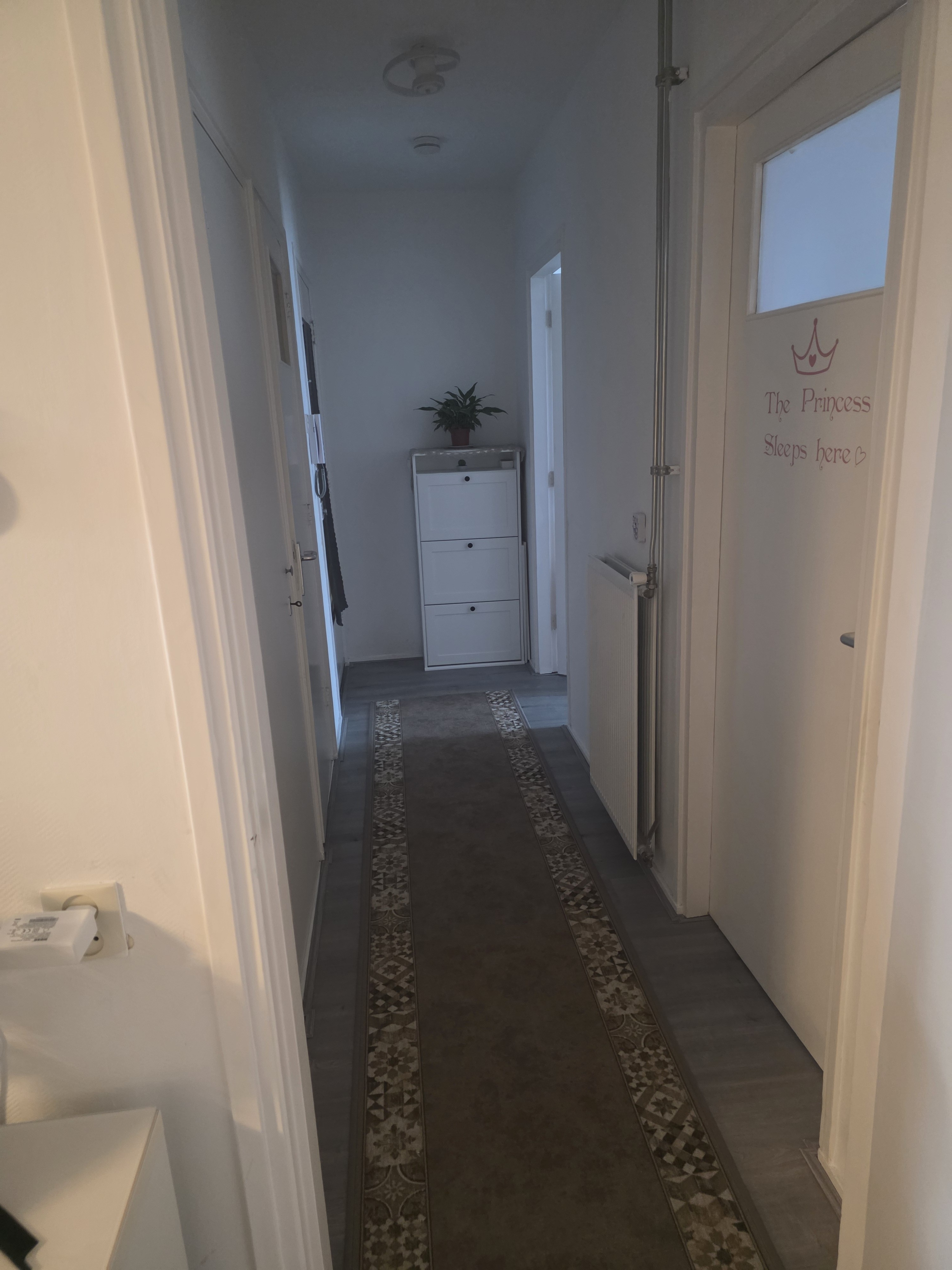 Van Zegwaardstraat 172