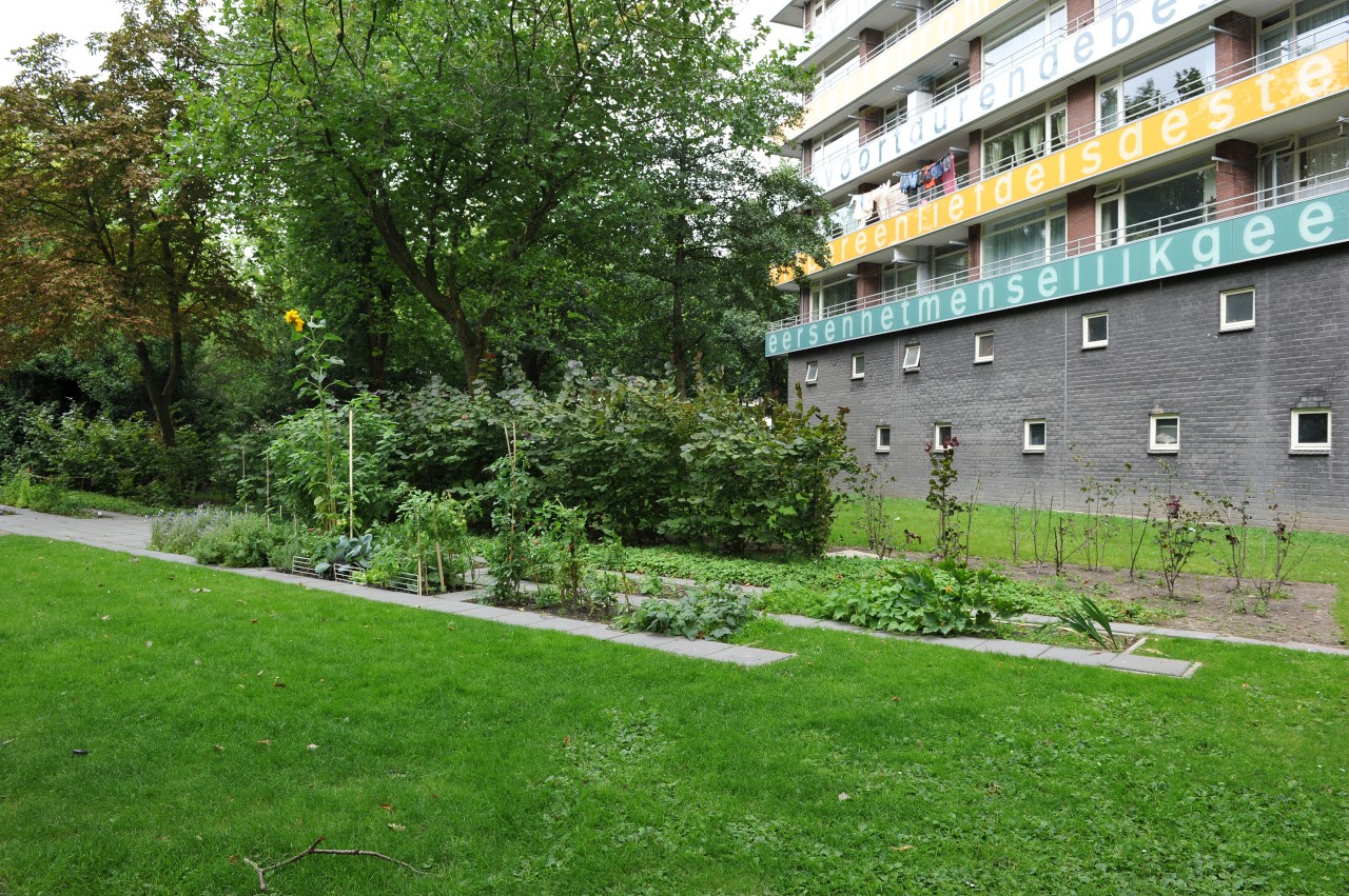 Dirk Costerplein 105