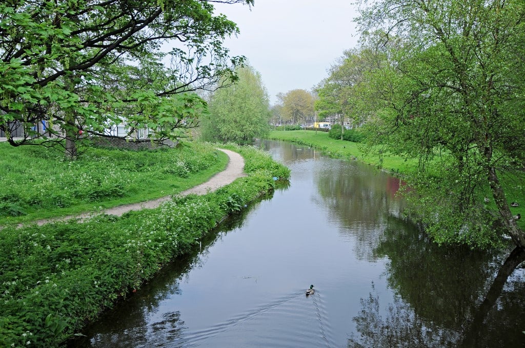 Van Diesenstraat 105