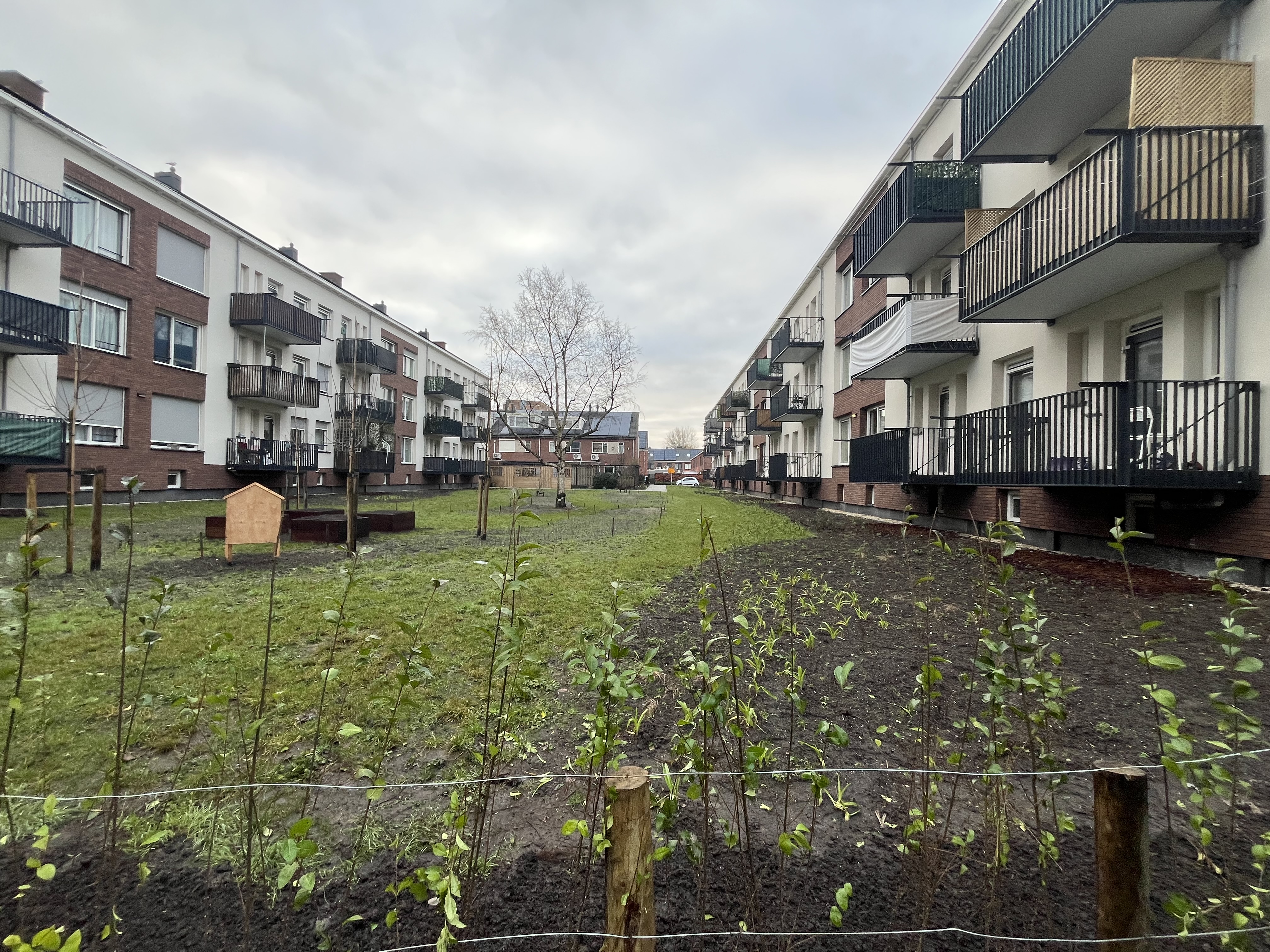 Dick de Hoogstraat 25