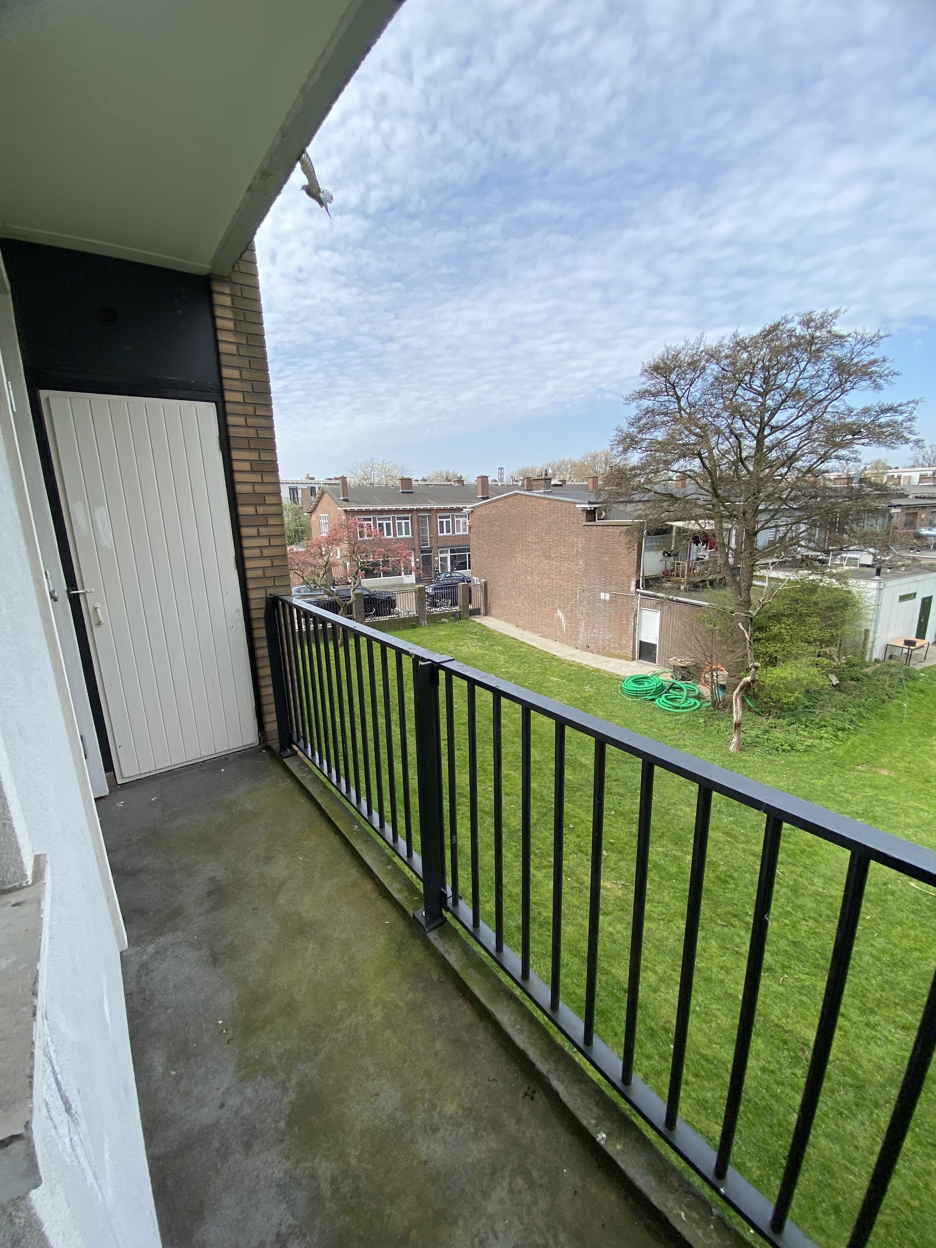 Pieter Langendijkstraat 17