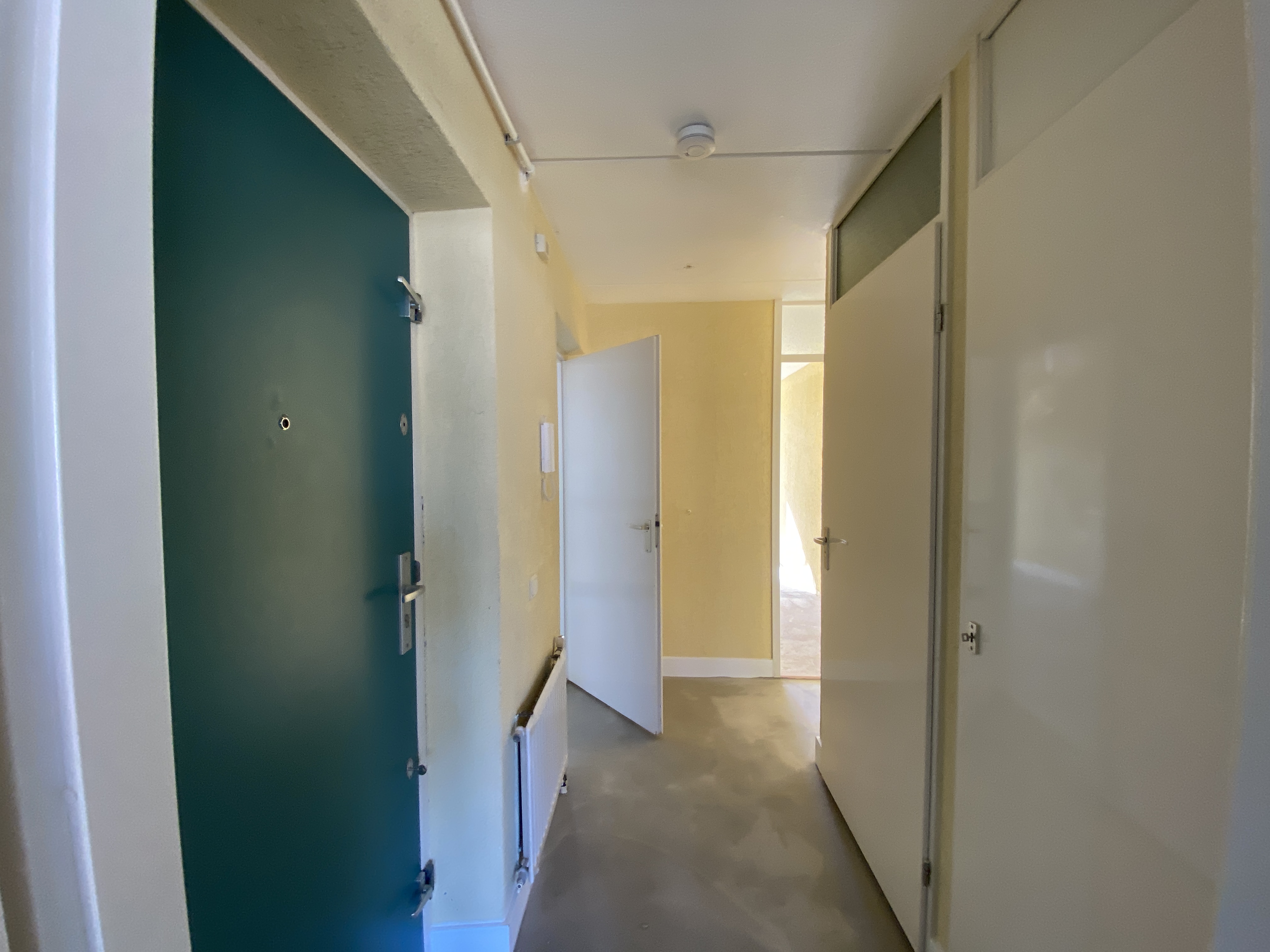 Van Ostadestraat 334D