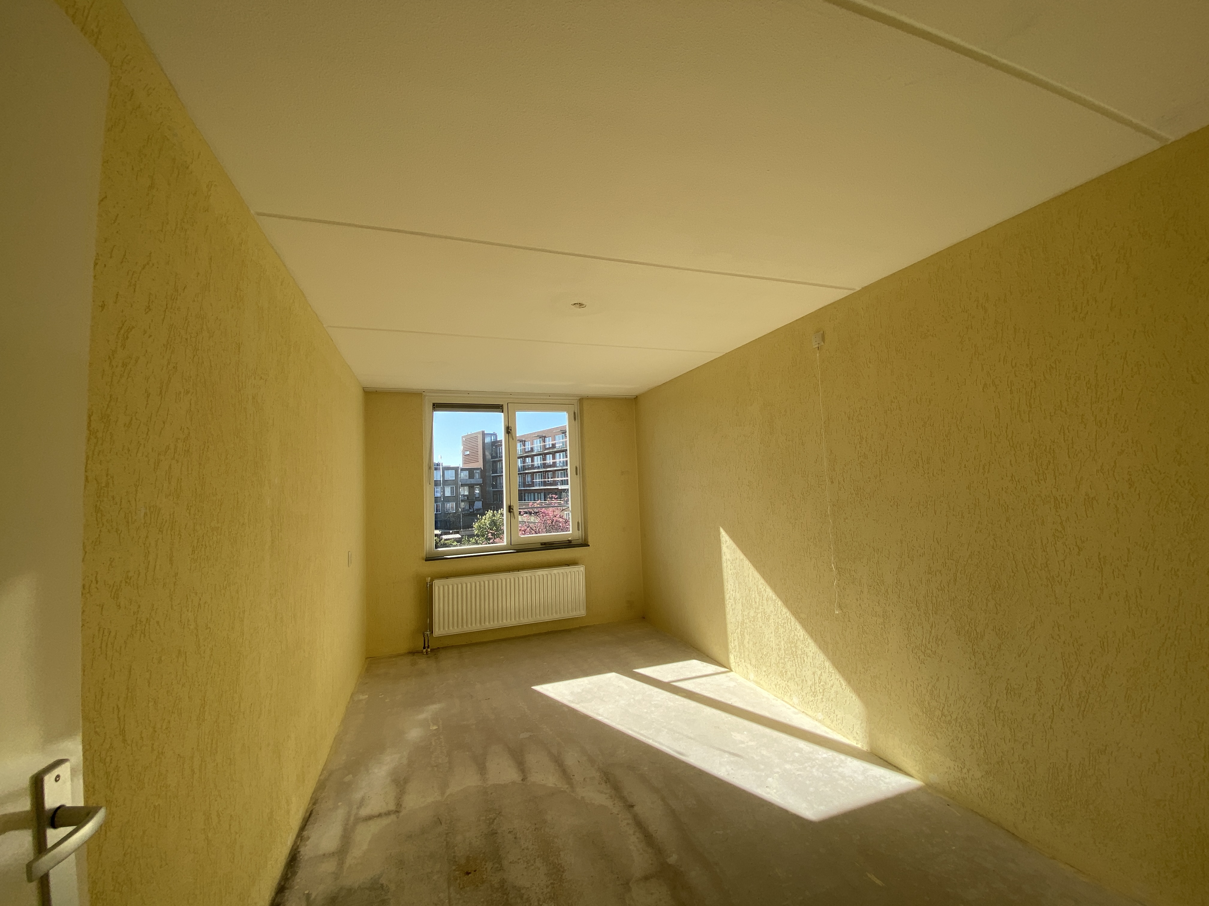 Van Ostadestraat 334D