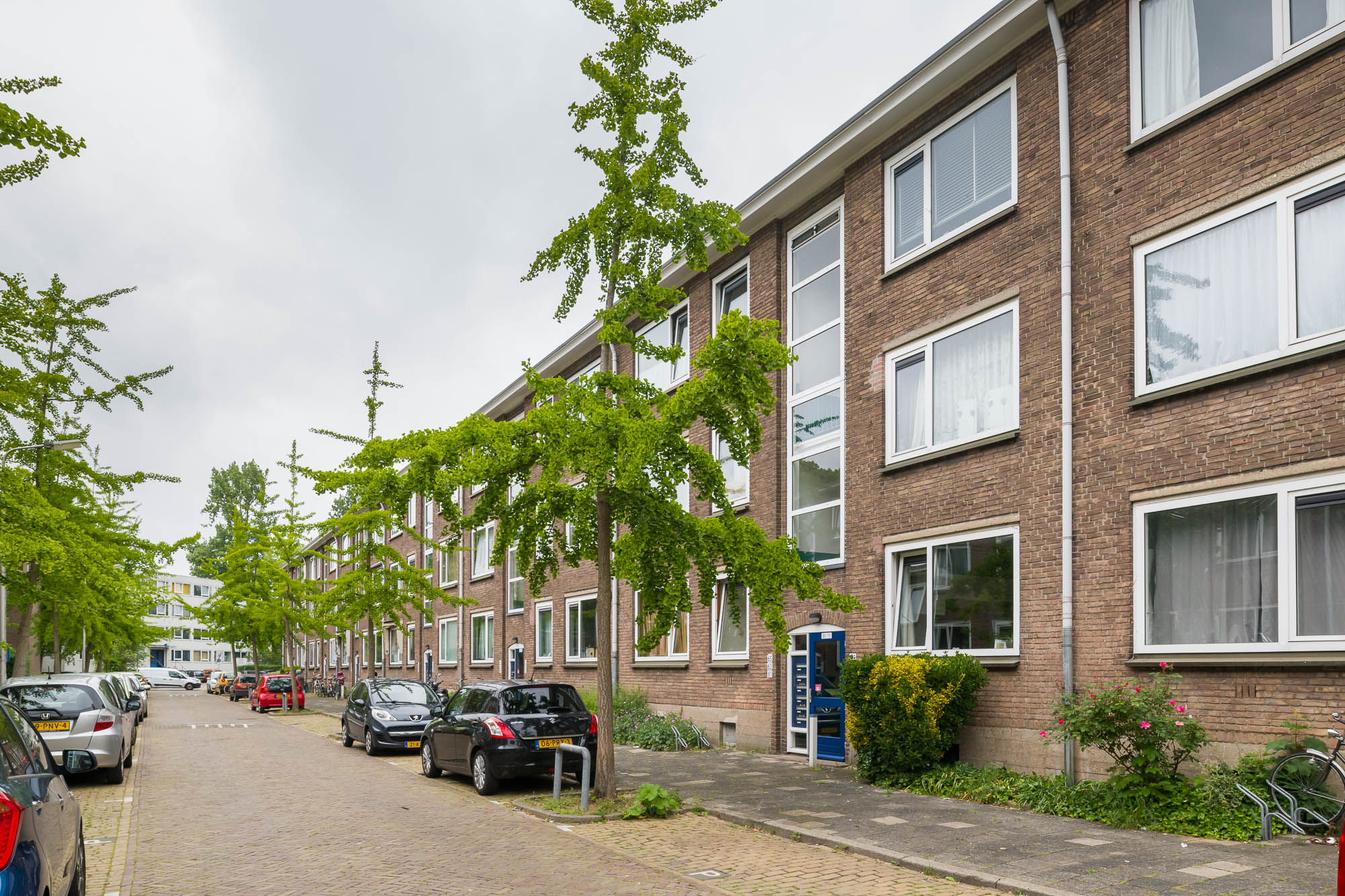 Gerardus de Haenstraat 55