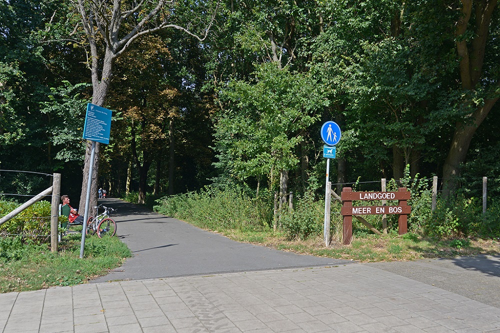 Vlierboomplein 41