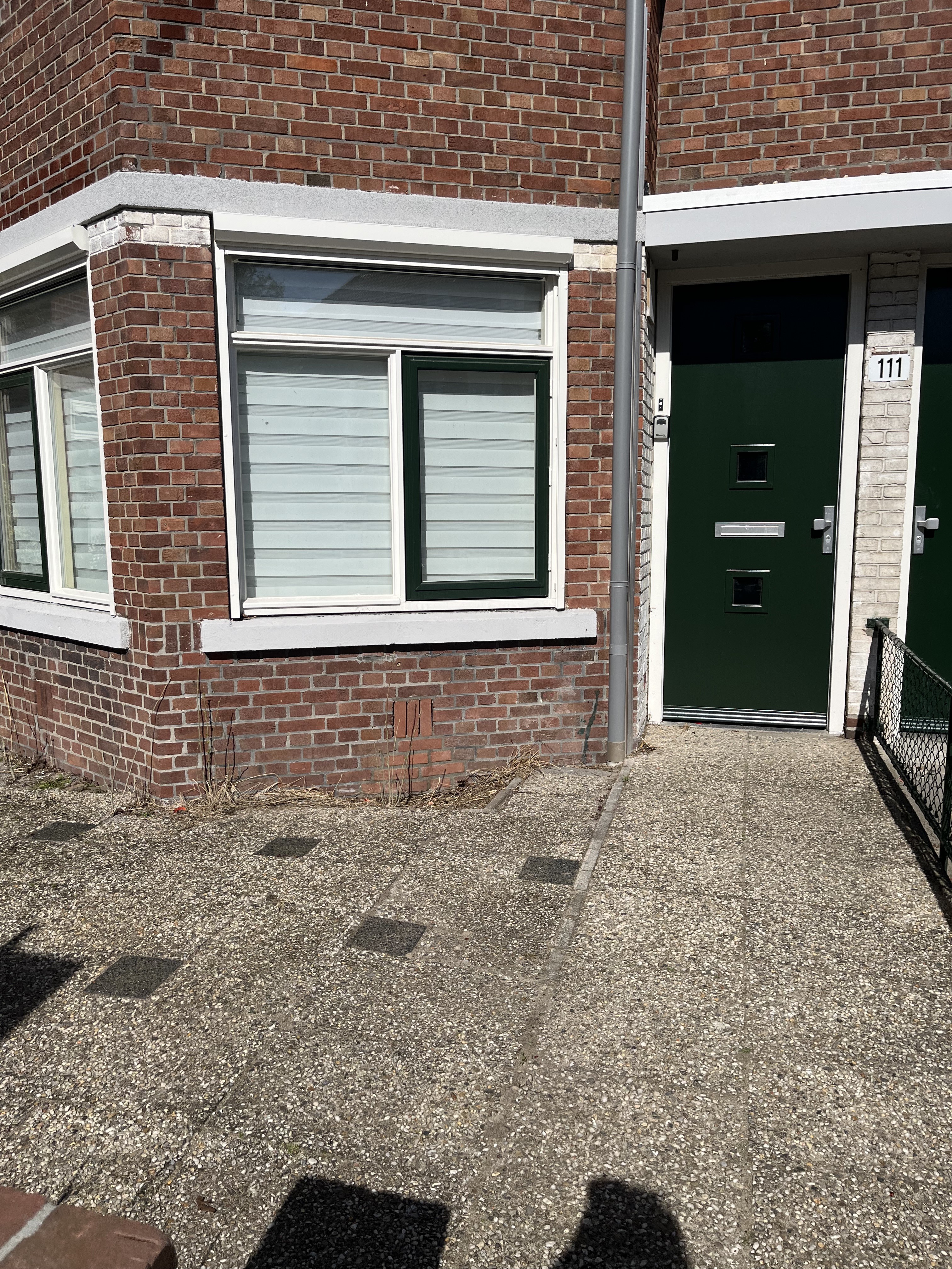 Tulpstraat 111