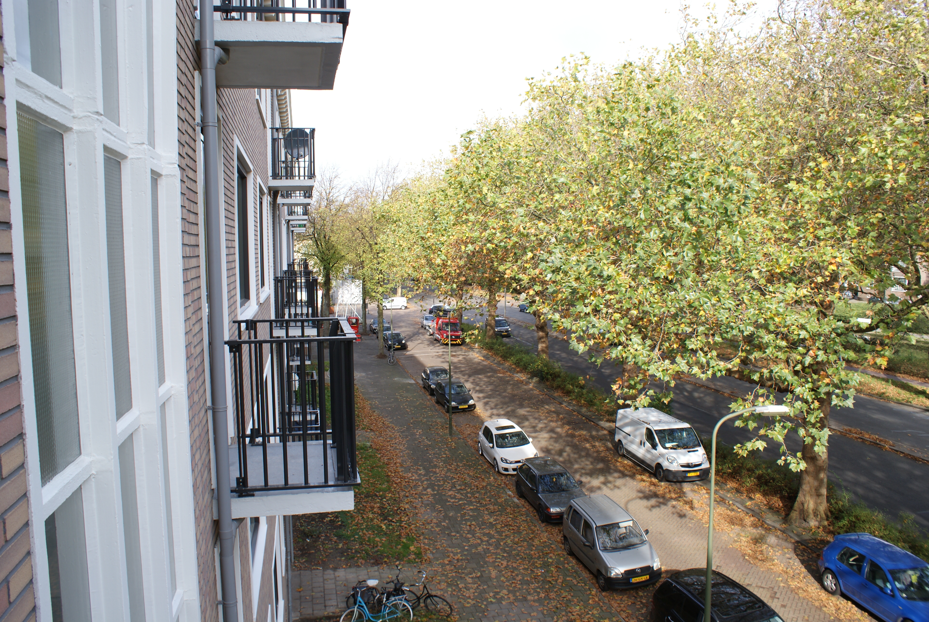 Moerweg 243