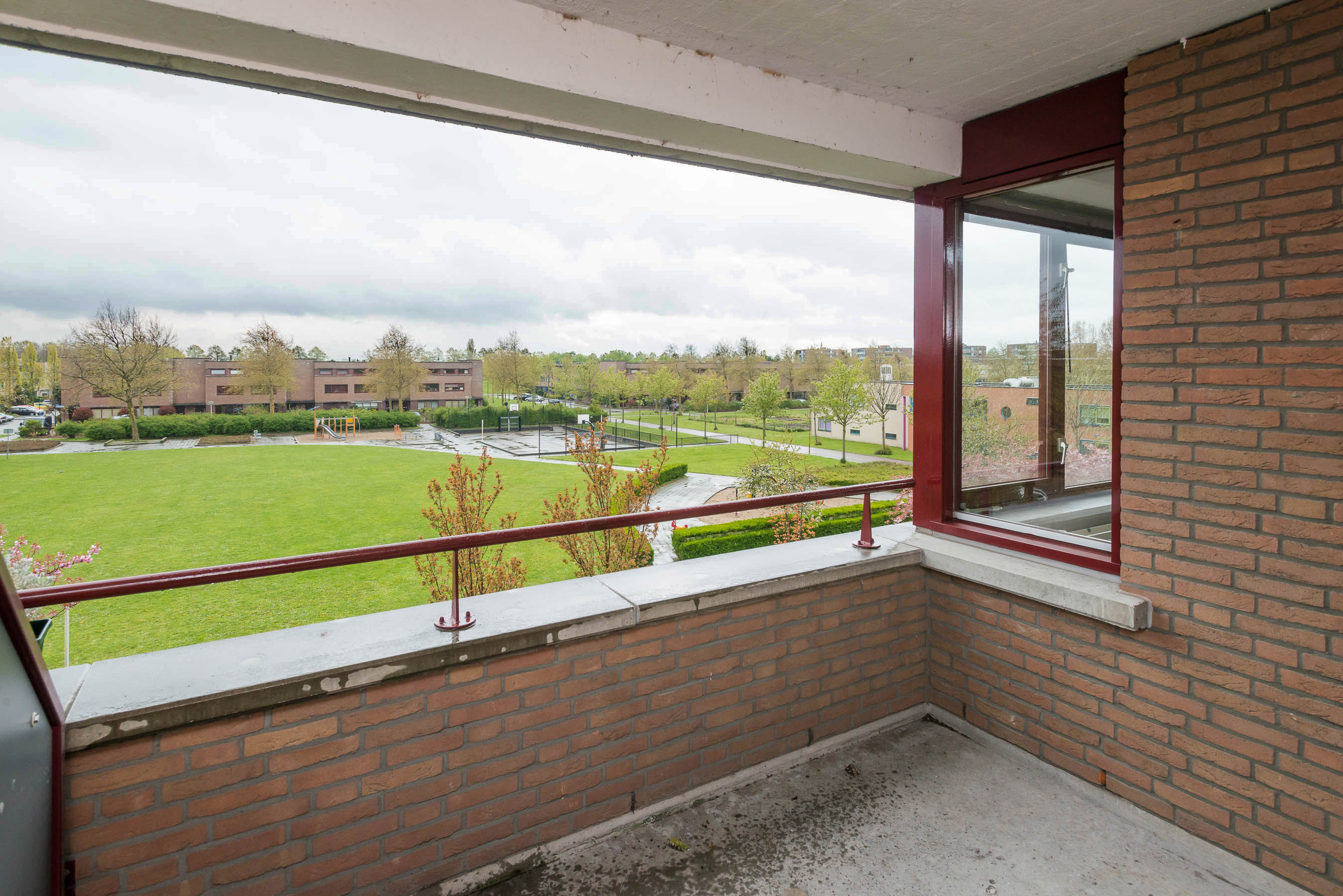 Palissanderhout 99