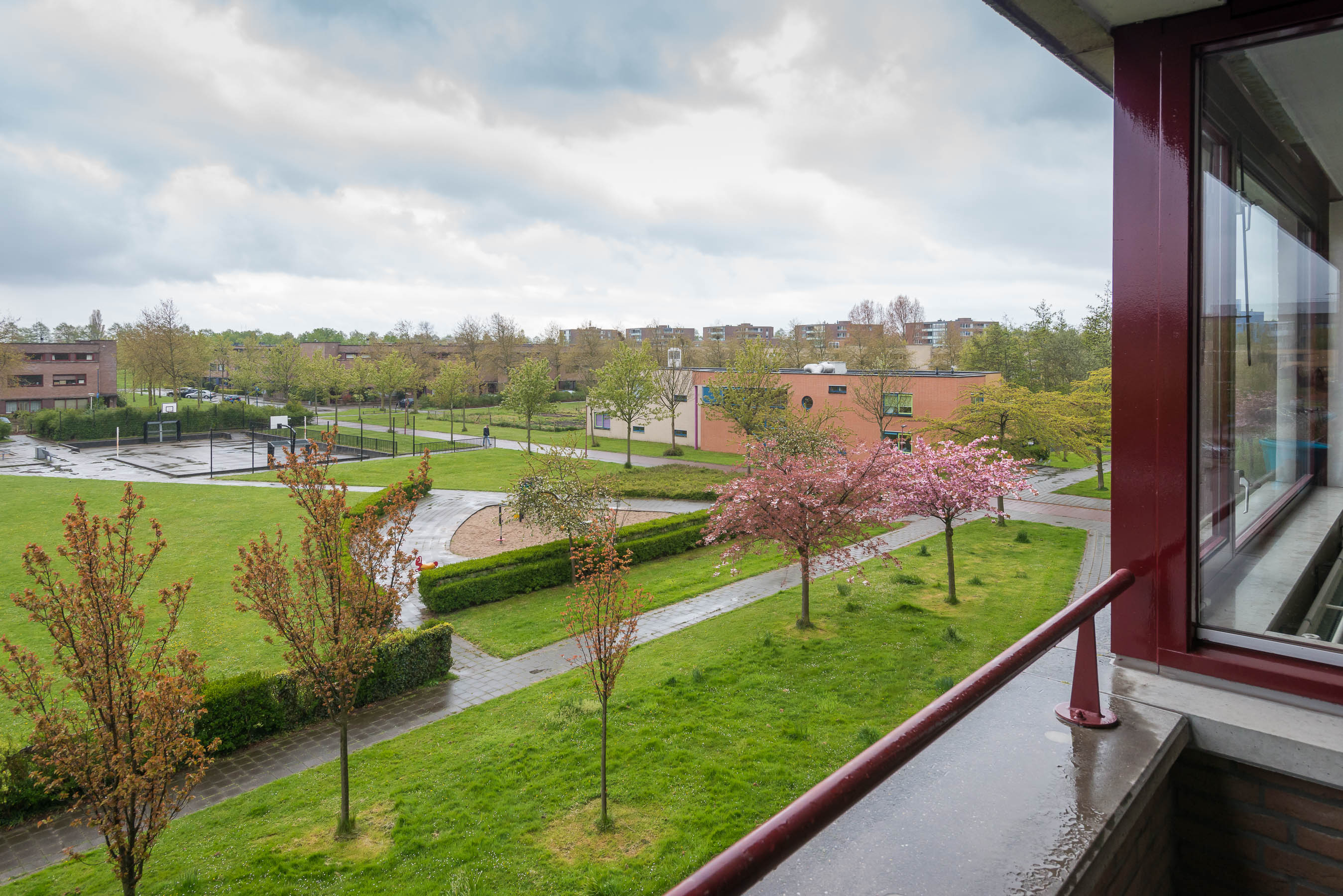 Palissanderhout 99