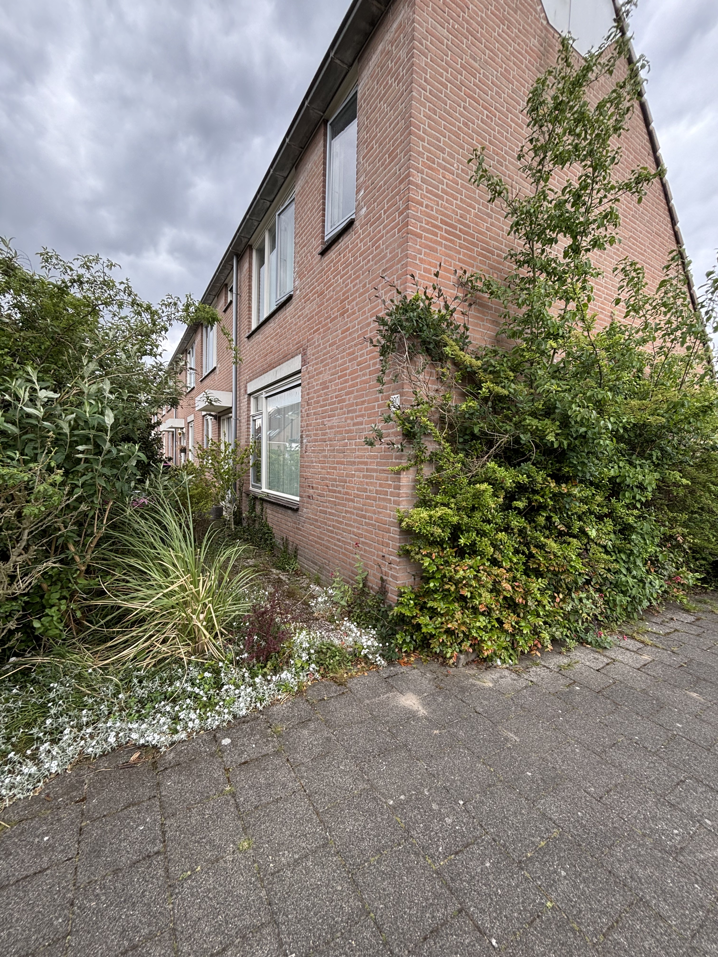 Meester Beerninkplantsoen 230