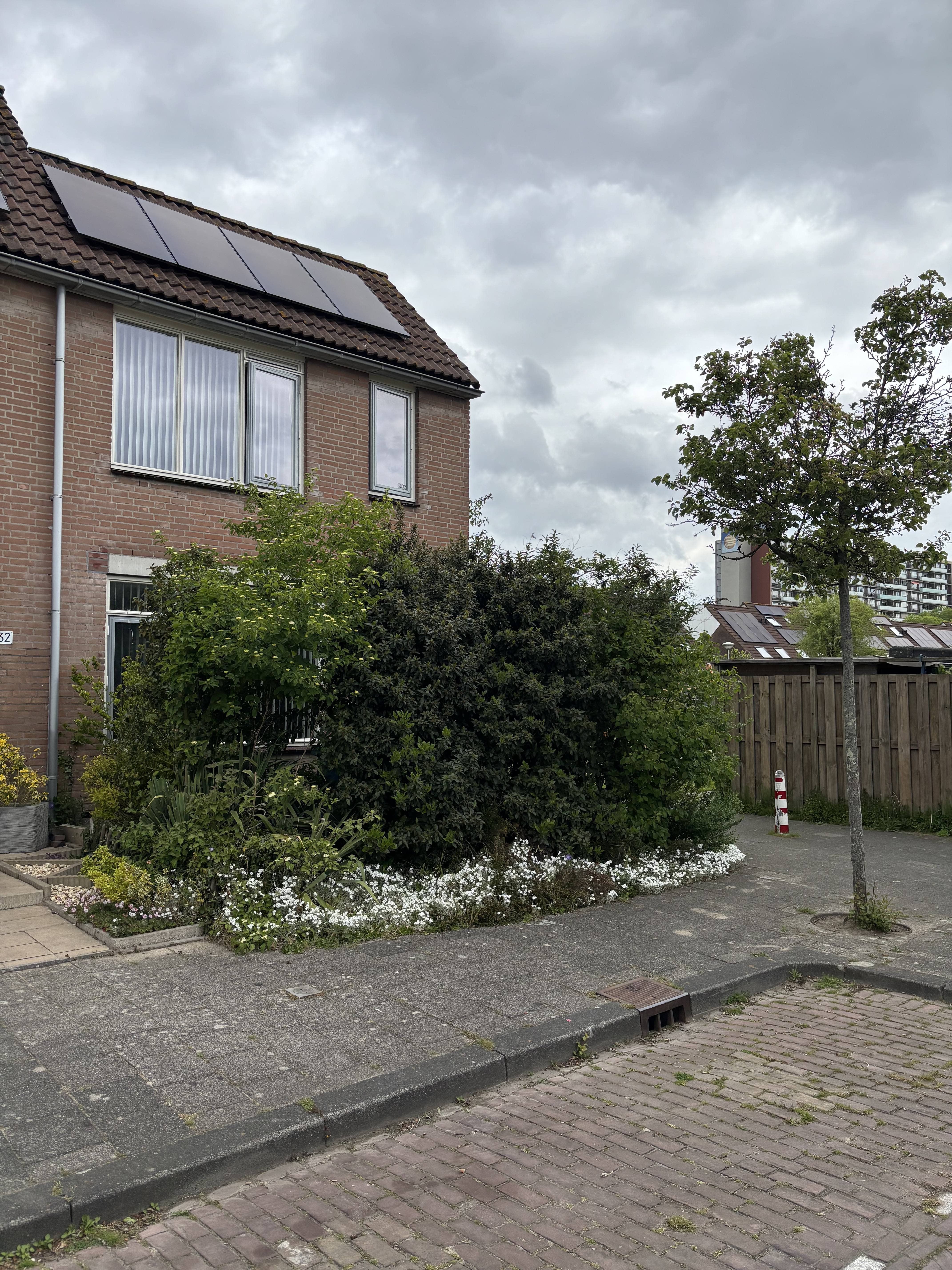 Meester Beerninkplantsoen 230