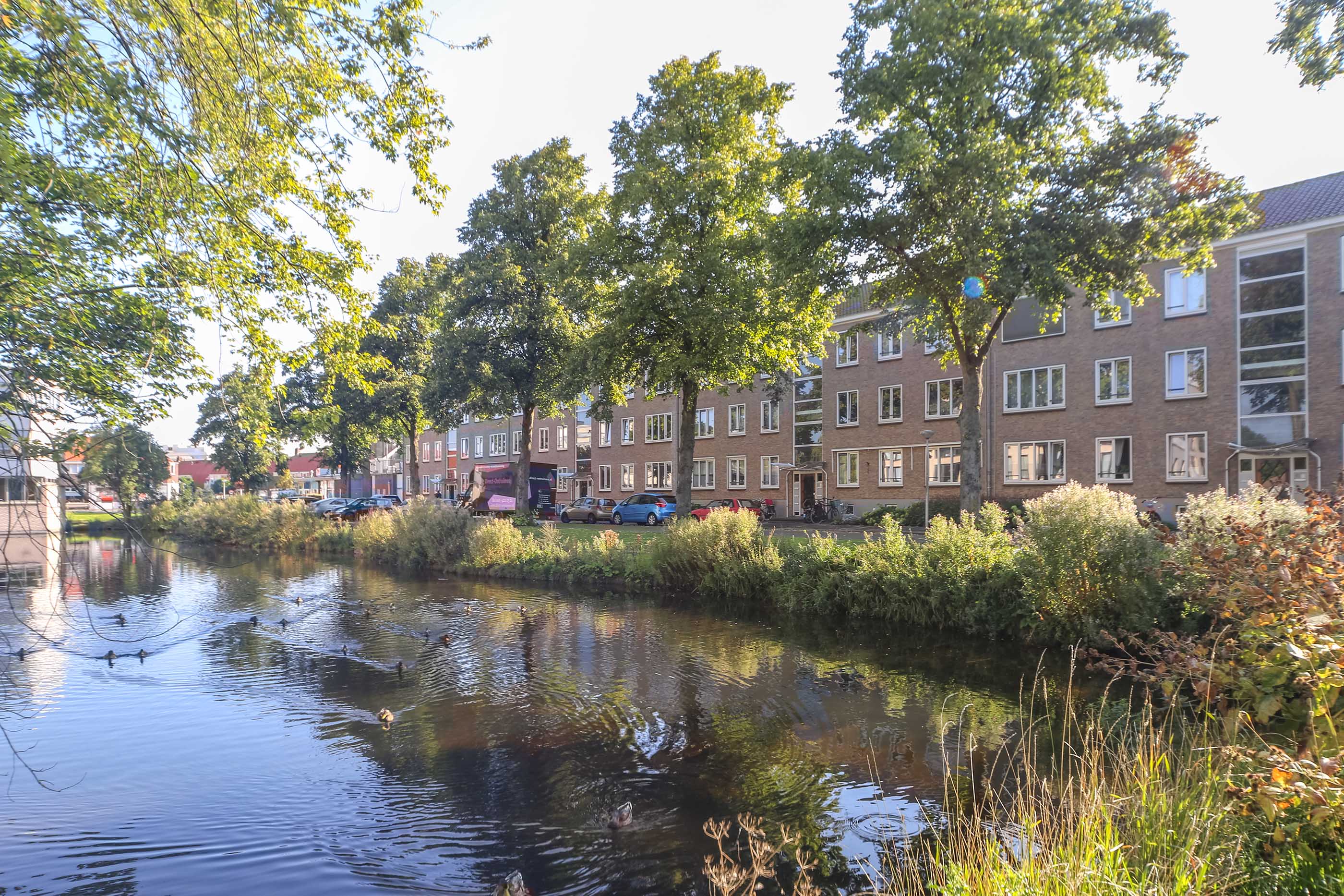 Amalia van Solmslaan 29, 2628 BR Delft, Nederland