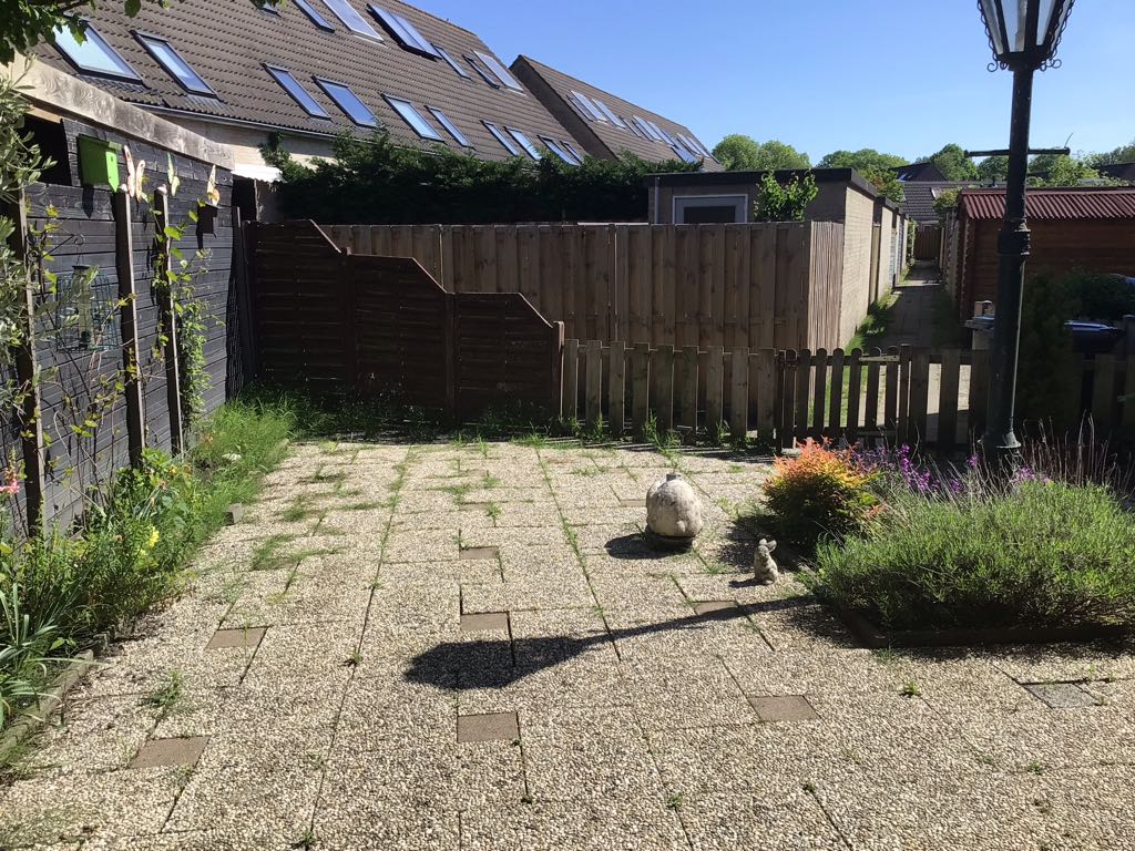 Zwanebloem 5