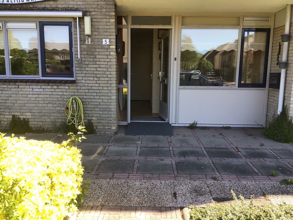 Zwanebloem 5