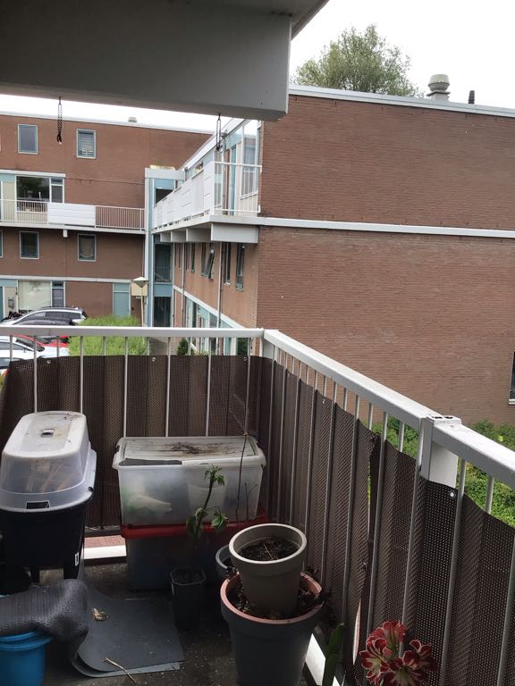 Piet Bakkerhove 22