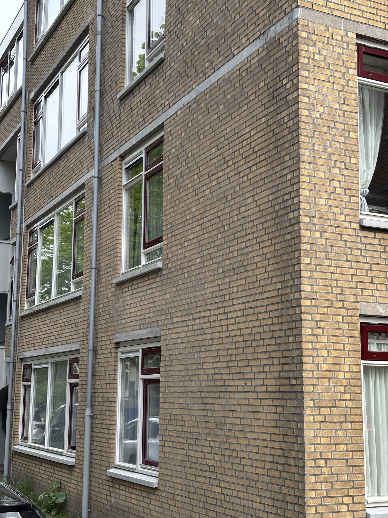 Tulpstraat 58B