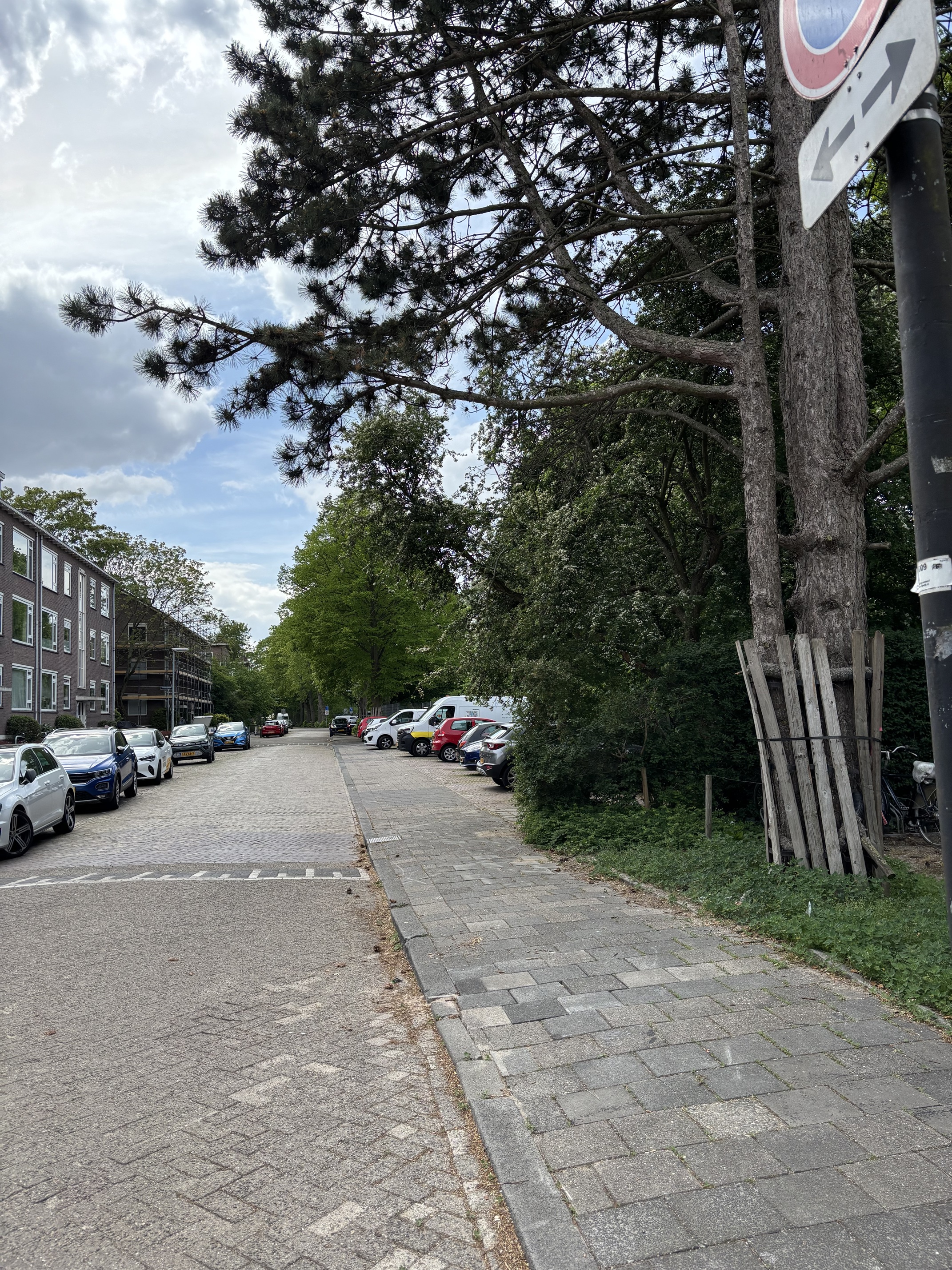 Tulpstraat 58B