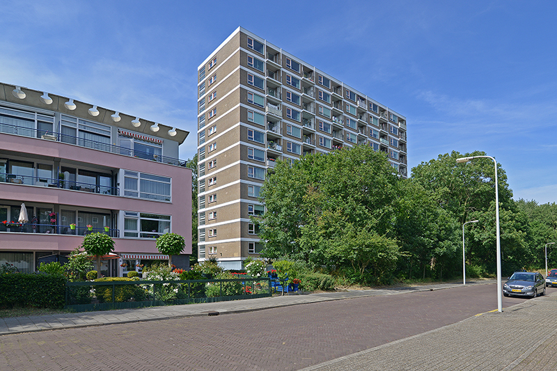 Ericalaan 91B, 2555 LE Den Haag, Nederland