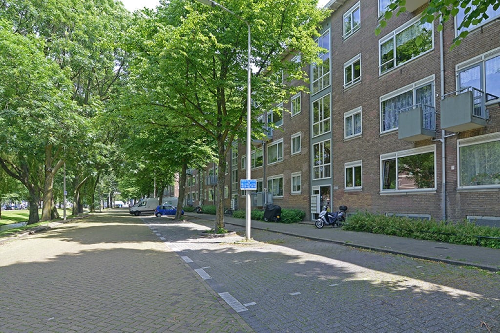 Hengelolaan 268
