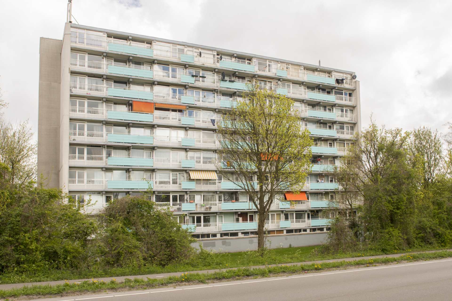Schrobbelaarstraat 6E