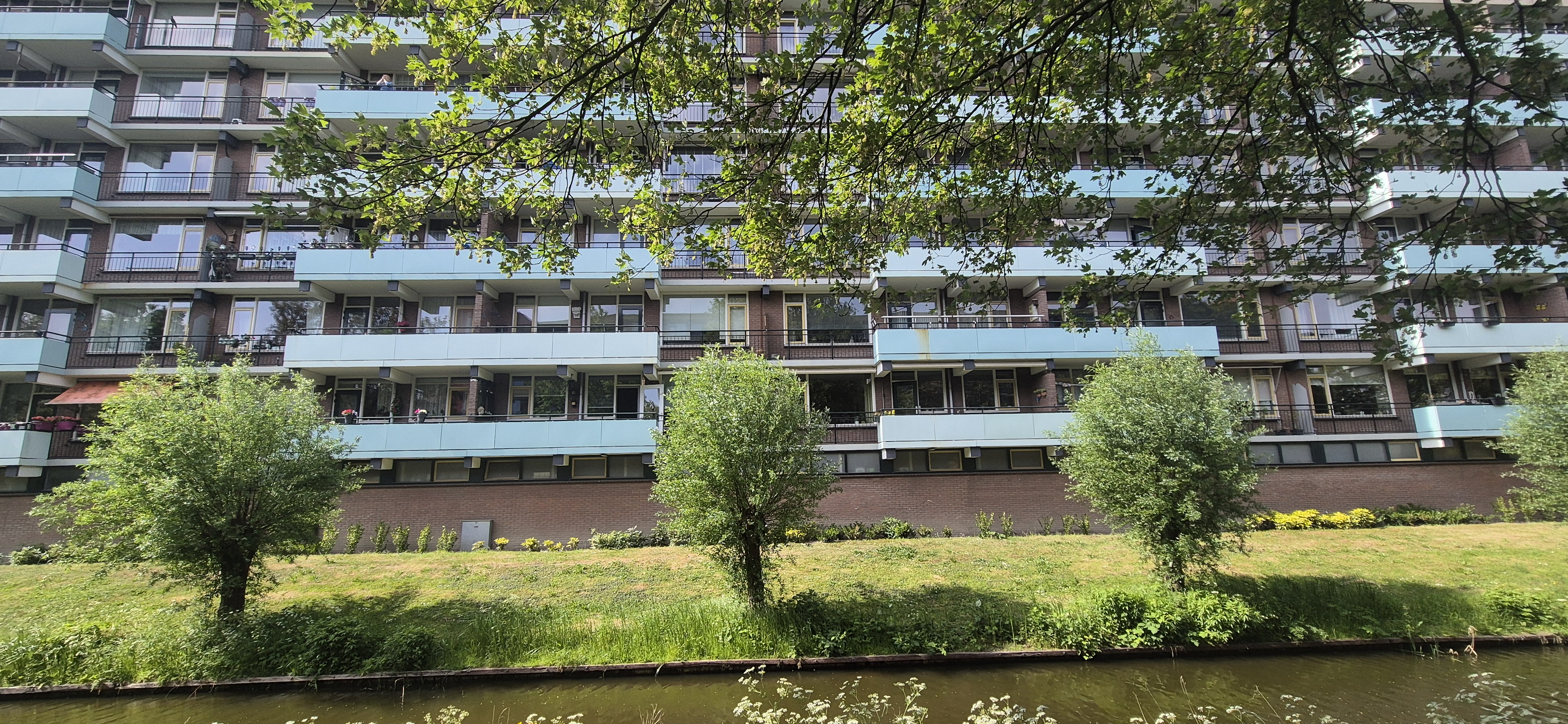 Martin Luther Kinglaan 119, 2286 AJ Rijswijk, Nederland